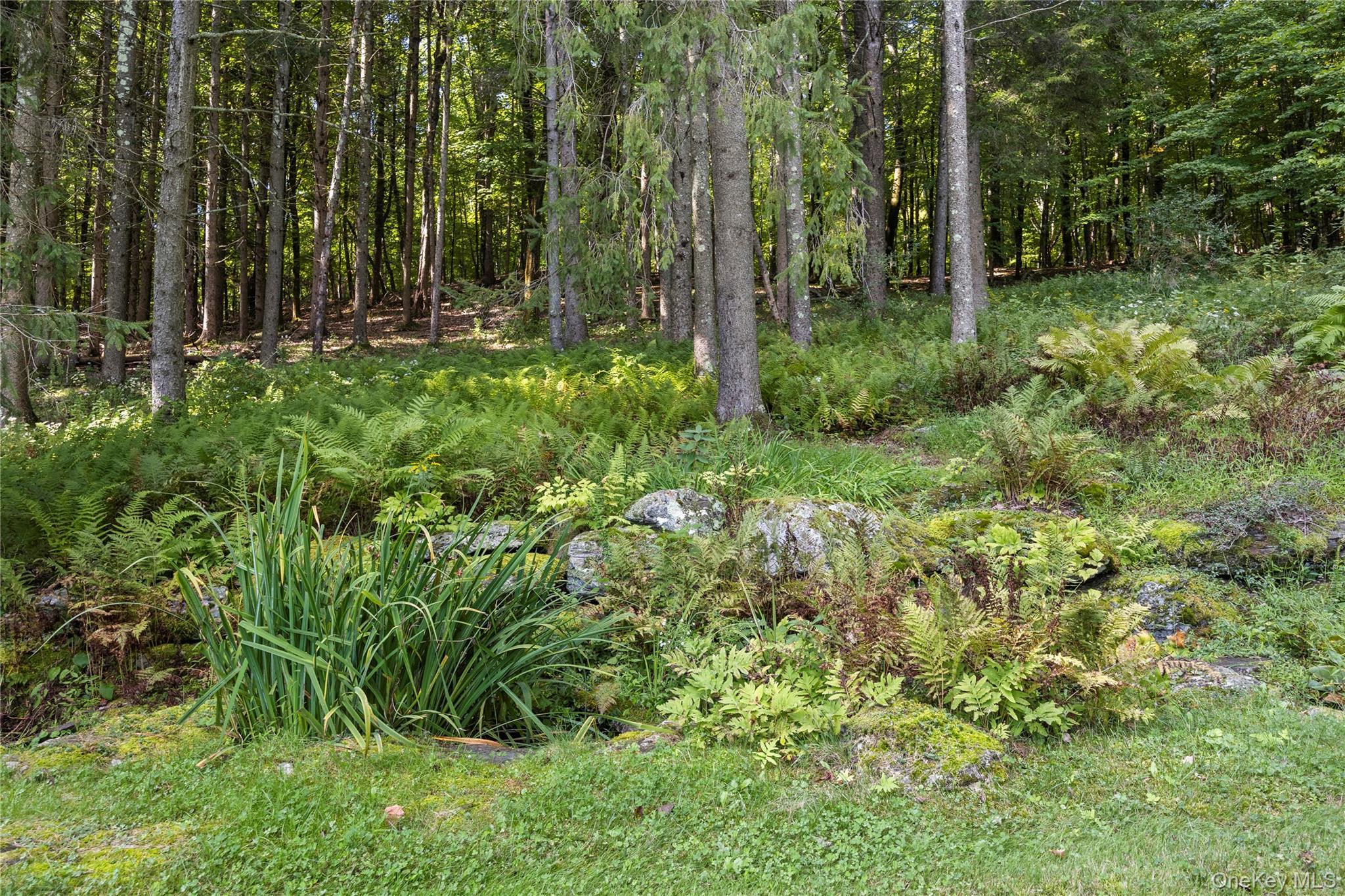 Single Family Tinker Hill Road Columbia County, NY 12567, MLS-1049798-20