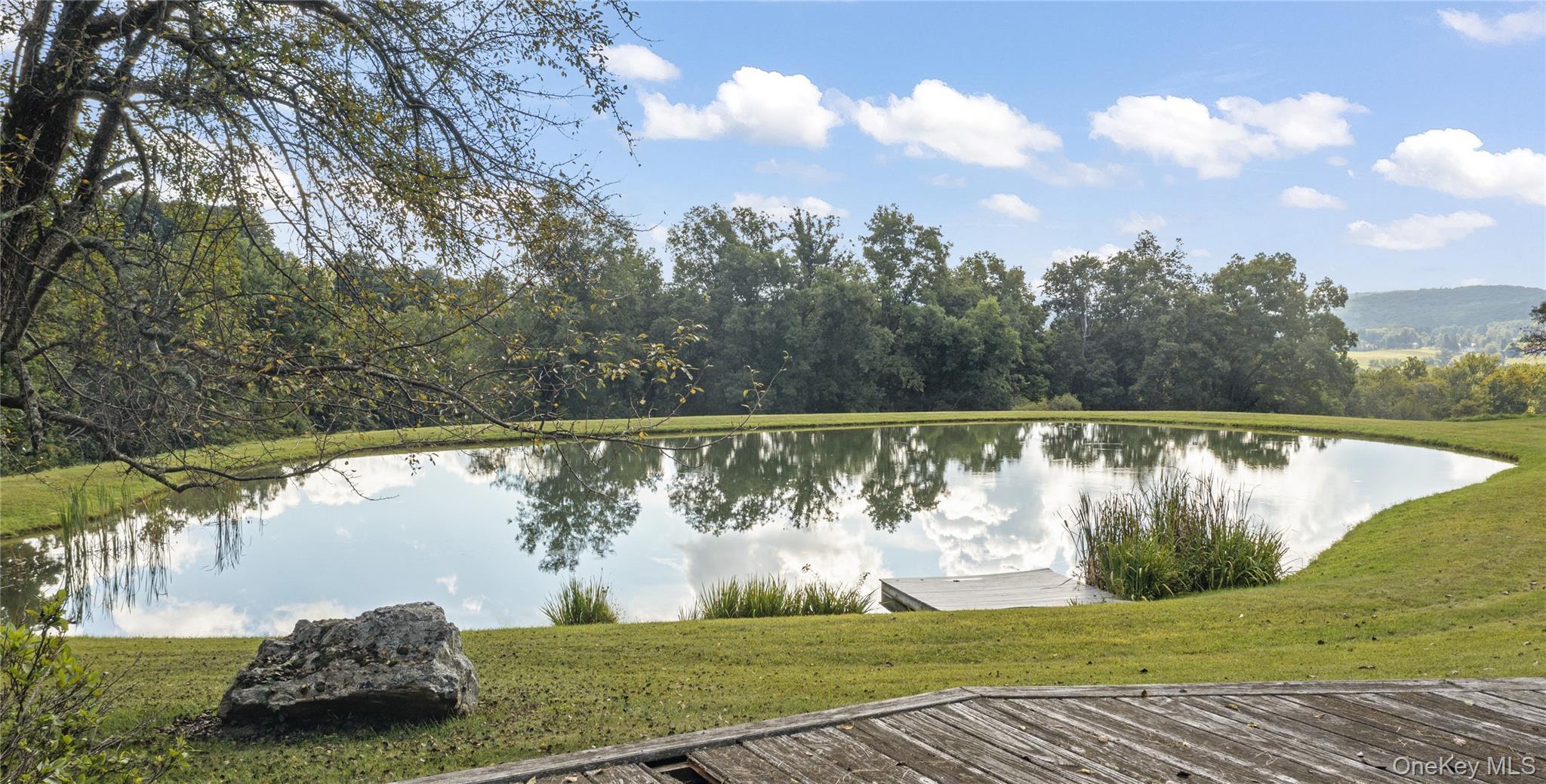 Single Family Tinker Hill Road Columbia County, NY 12567, MLS-1049798-21