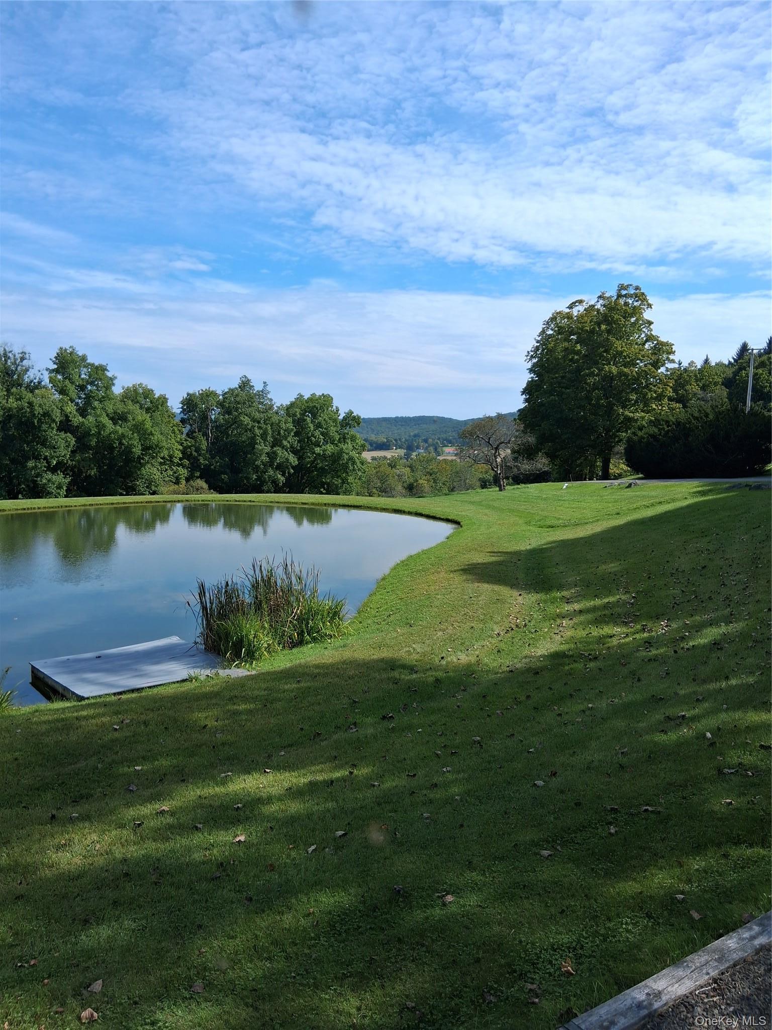 Single Family Tinker Hill Road Columbia County, NY 12567, MLS-1049798-25