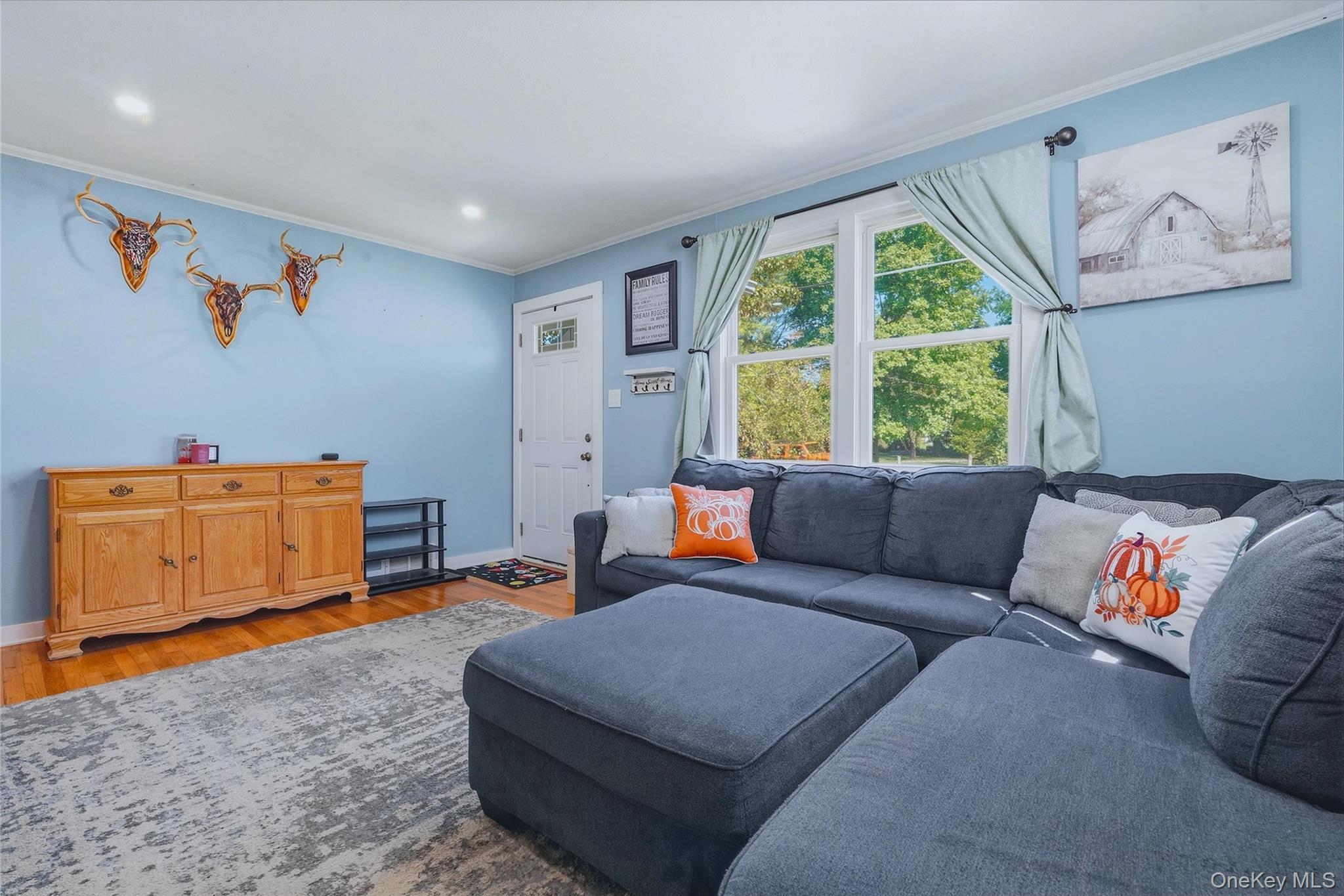 Single Family Buena Vista Avenue Ulster County, NY 12589, MLS-1049803-4
