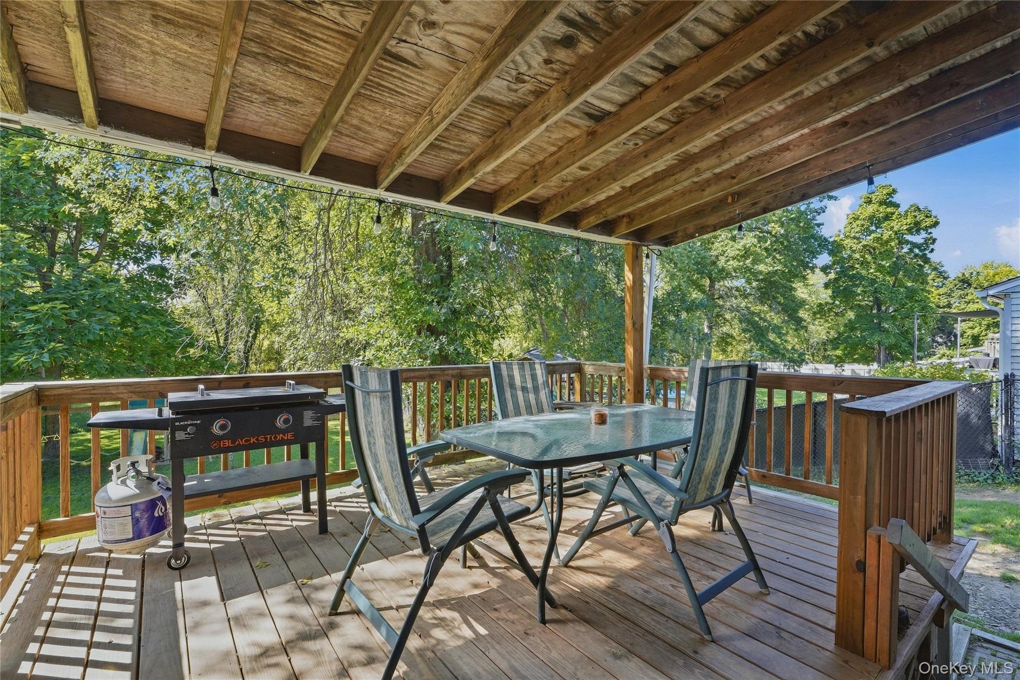 Single Family Buena Vista Avenue Ulster County, NY 12589, MLS-1049803-9