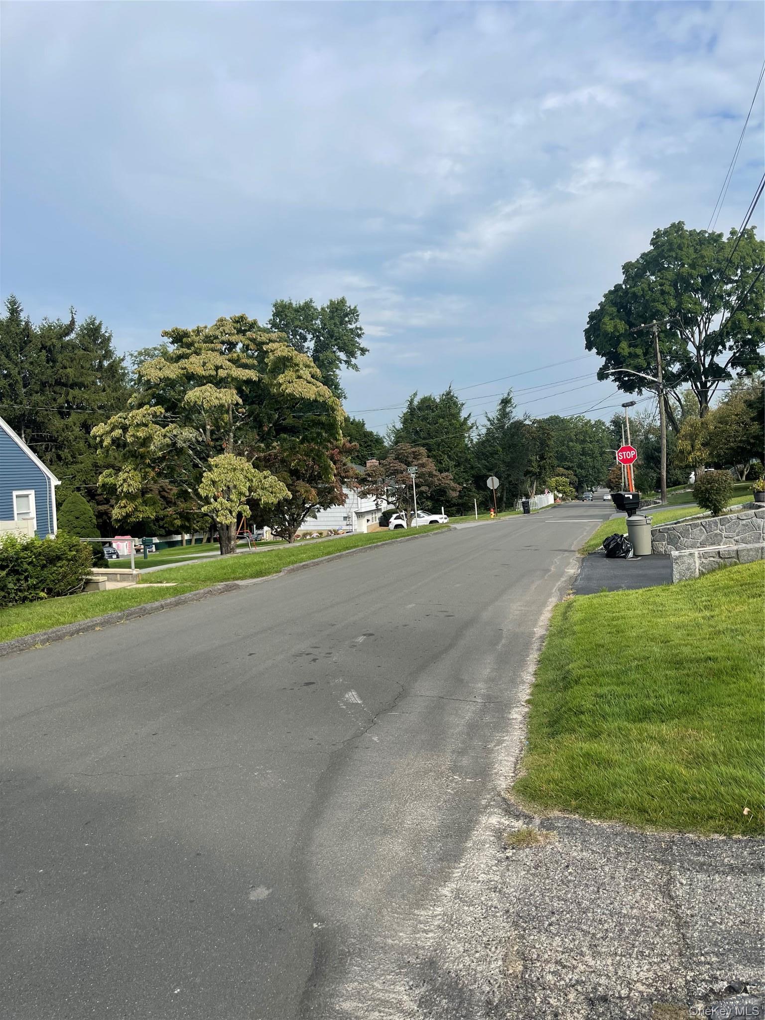 Single Family Sherman Avenue Westchester County, NY 10532, MLS-1049816-24