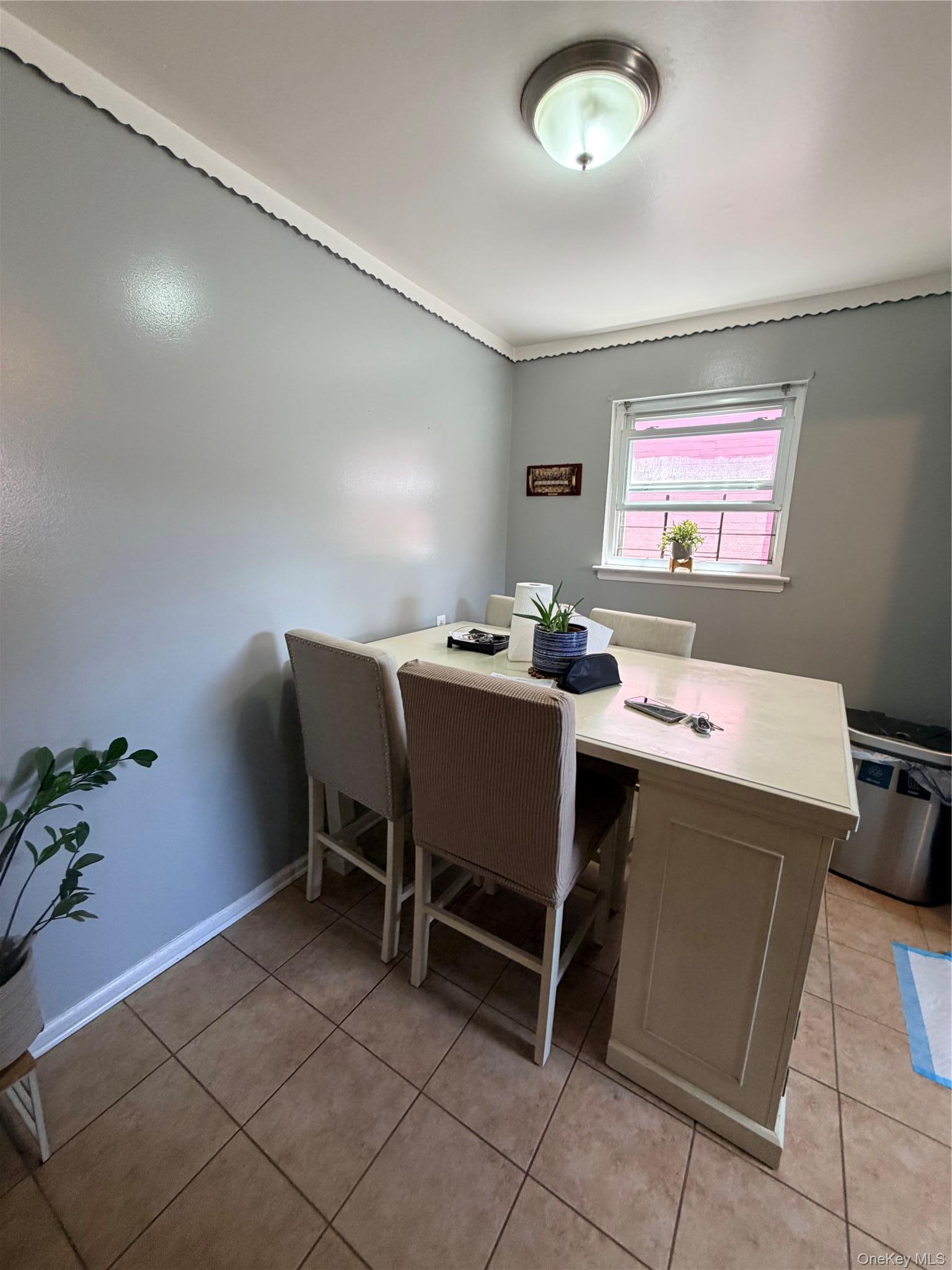 Single Family White Plains Road Bronx, NY 10462, MLS-1049823-23