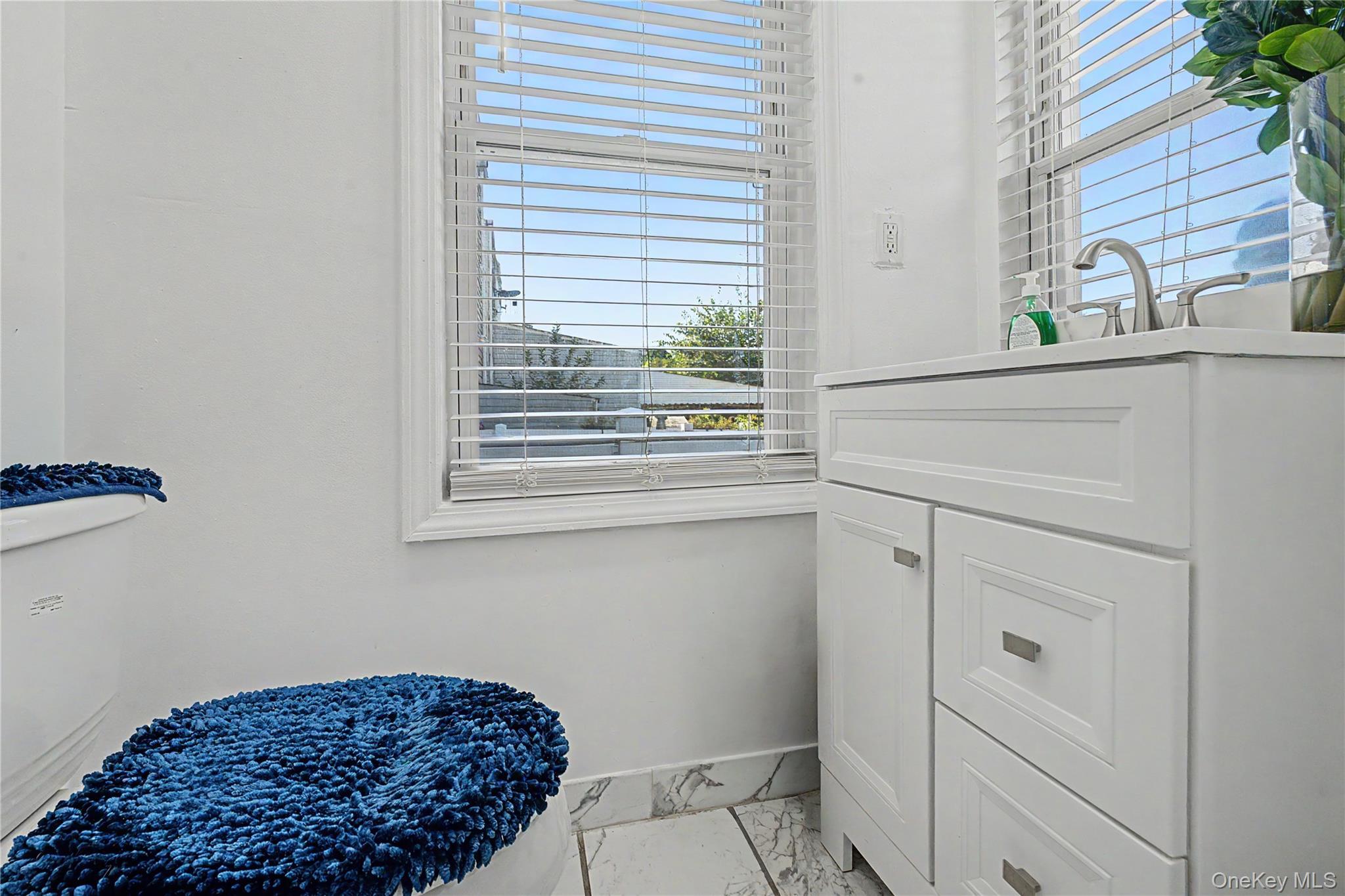Single Family 147th Street Queens, NY 11436, MLS-1049840-8