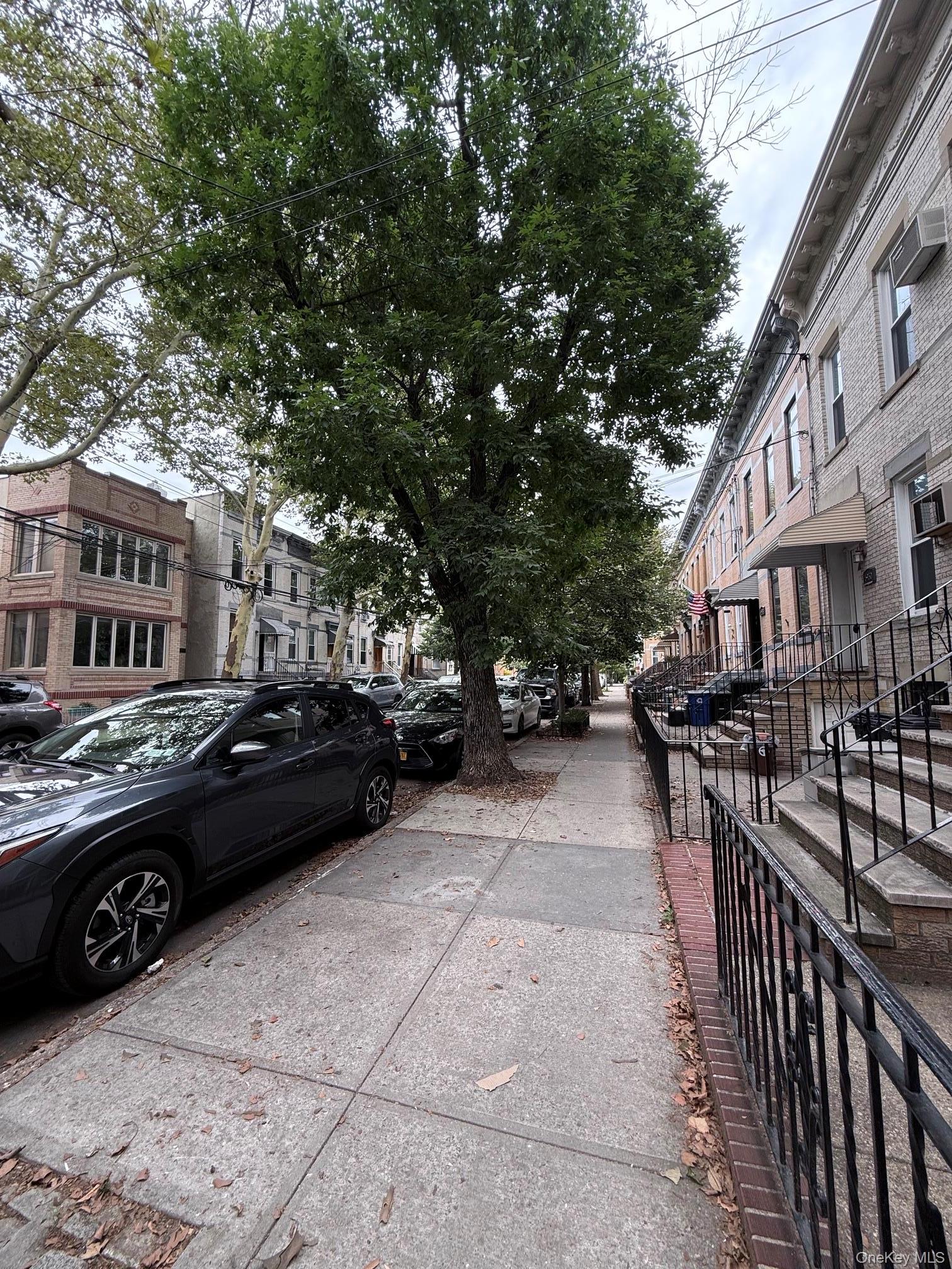 Single Family Grove Street Queens, NY 11385, MLS-1049851-6