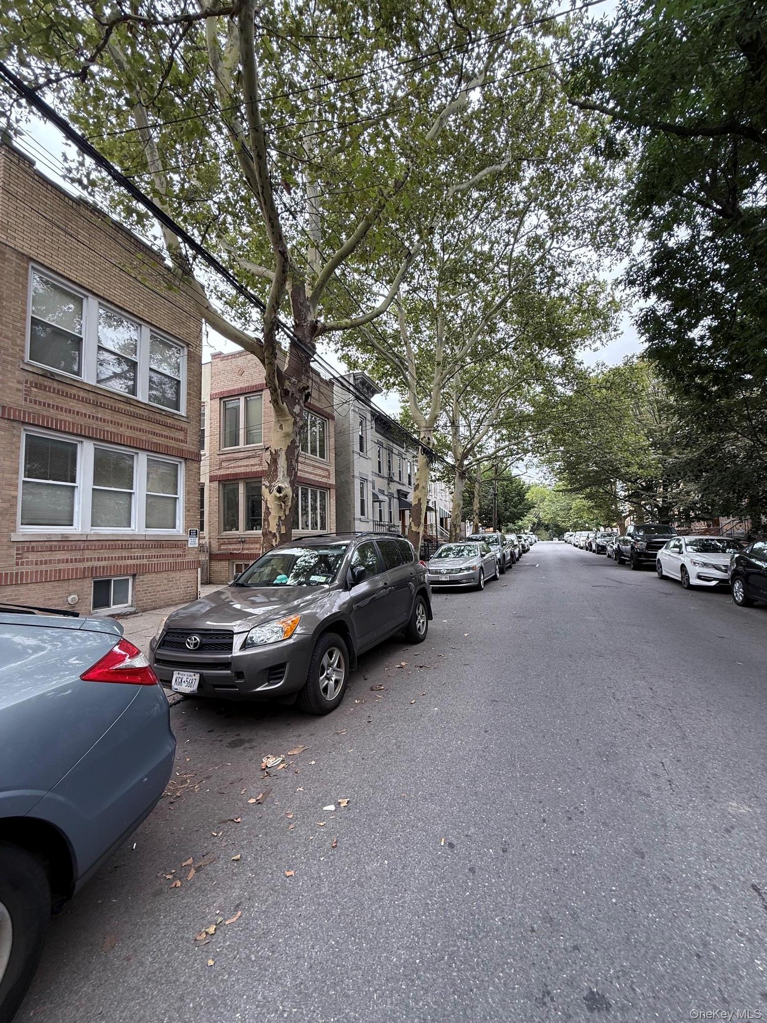 Single Family Grove Street Queens, NY 11385, MLS-1049851-7