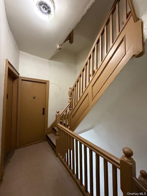 Single Family Buffalo Avenue Brooklyn, NY 11233, MLS-1049876-22
