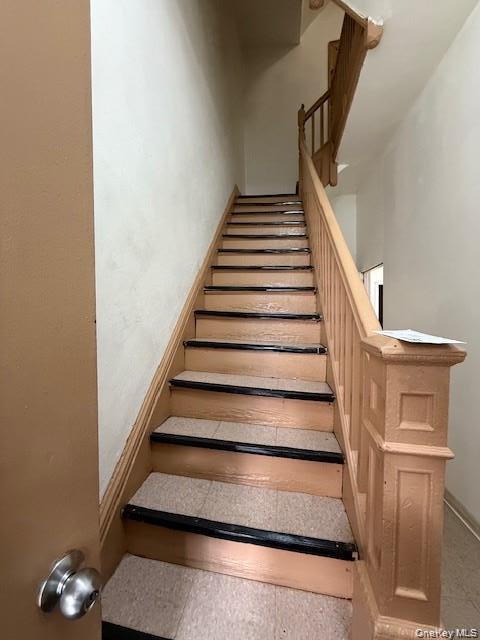 Single Family Buffalo Avenue Brooklyn, NY 11233, MLS-1049876-23