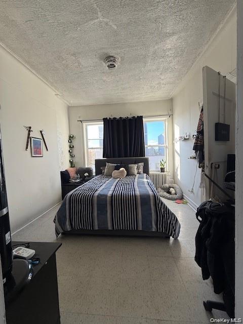 Single Family Buffalo Avenue Brooklyn, NY 11233, MLS-1049876-31