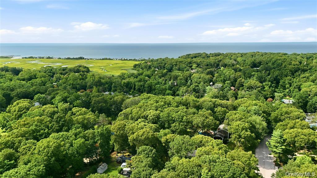 Single Family N Country Road  Suffolk County, NY 11792, MLS-1049897-38