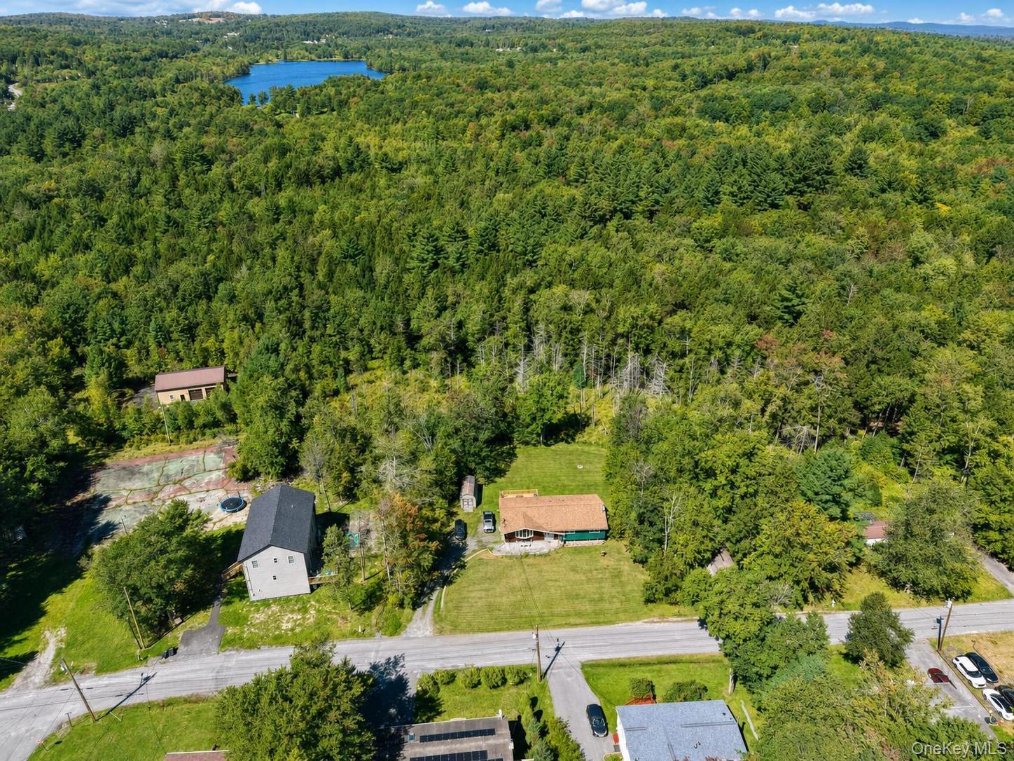 Single Family Quiat Road  Sullivan County, NY 12763, MLS-1049899-41