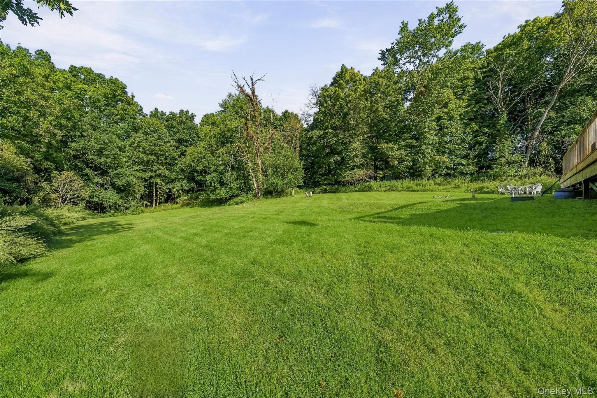 Single Family Heselton Drive  Orange County, NY 10973, MLS-1049918-37