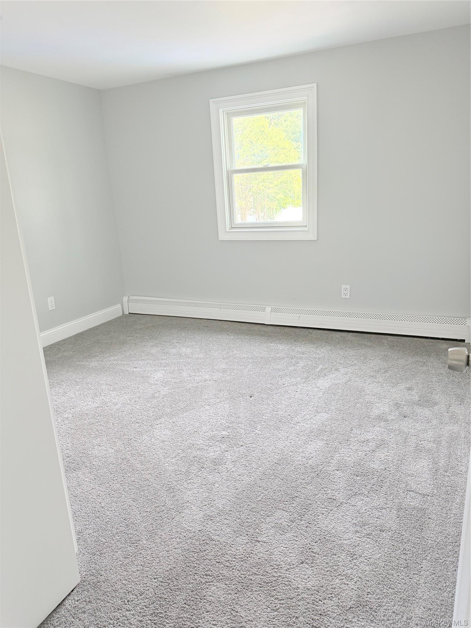 Single Family William Street Suffolk County, NY 11727, MLS-1049978-19