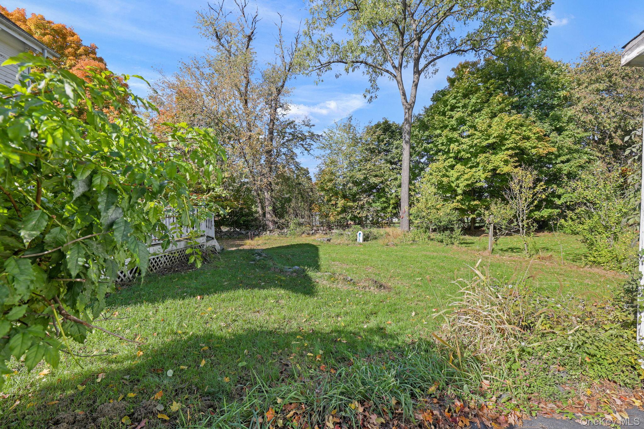 Single Family Spring Street  Orange County, NY 10950, MLS-1049995-25