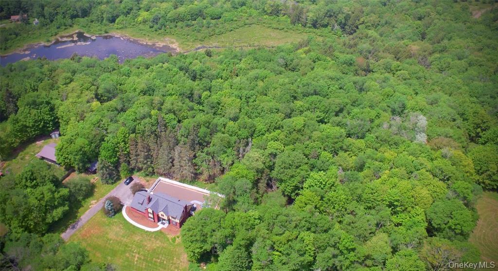 Single Family Goff Road Sullivan County, NY 12758, MLS-1049997-3
