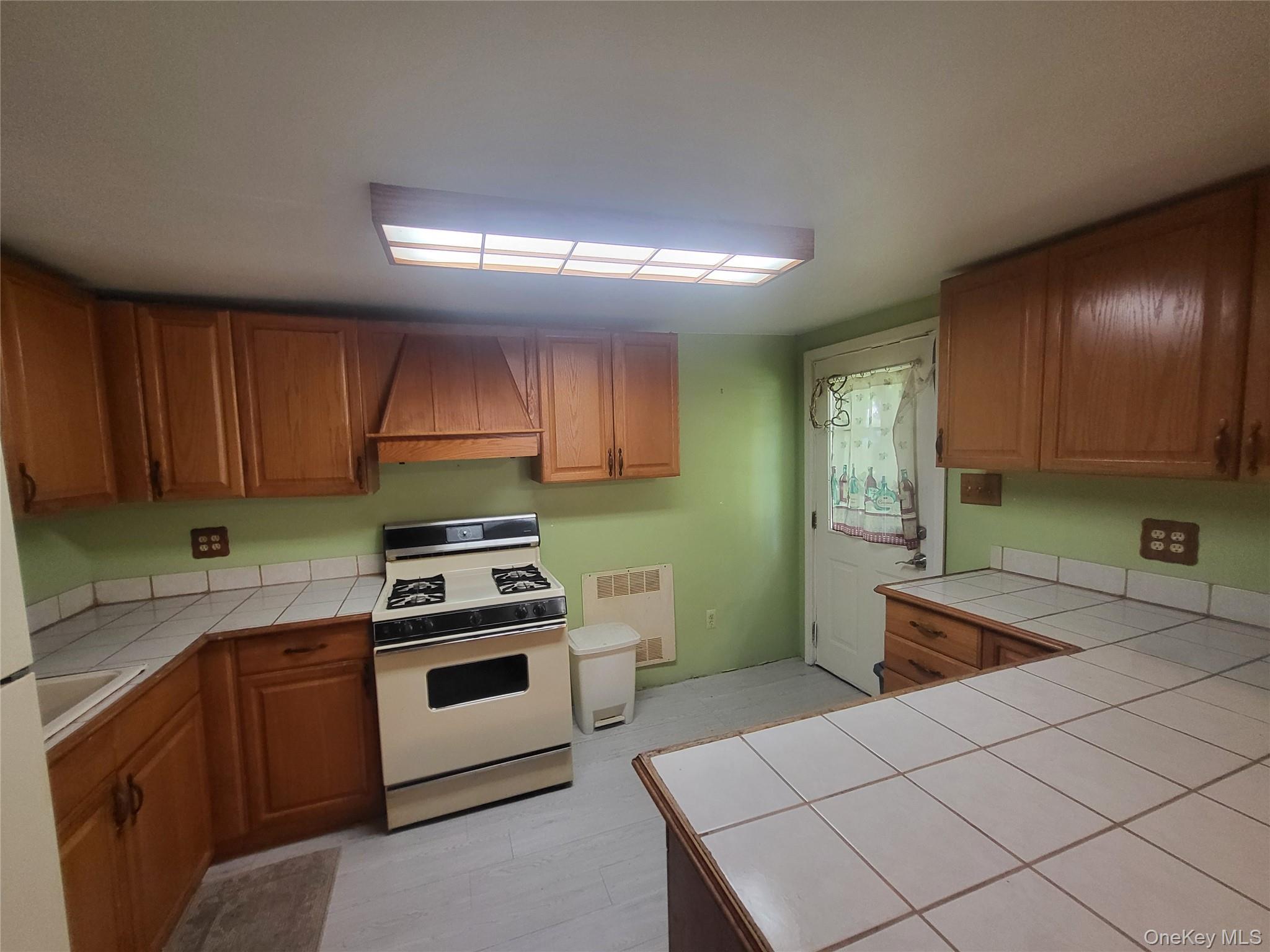 Single Family Ash Street Orange County, NY 10950, MLS-1050001-21