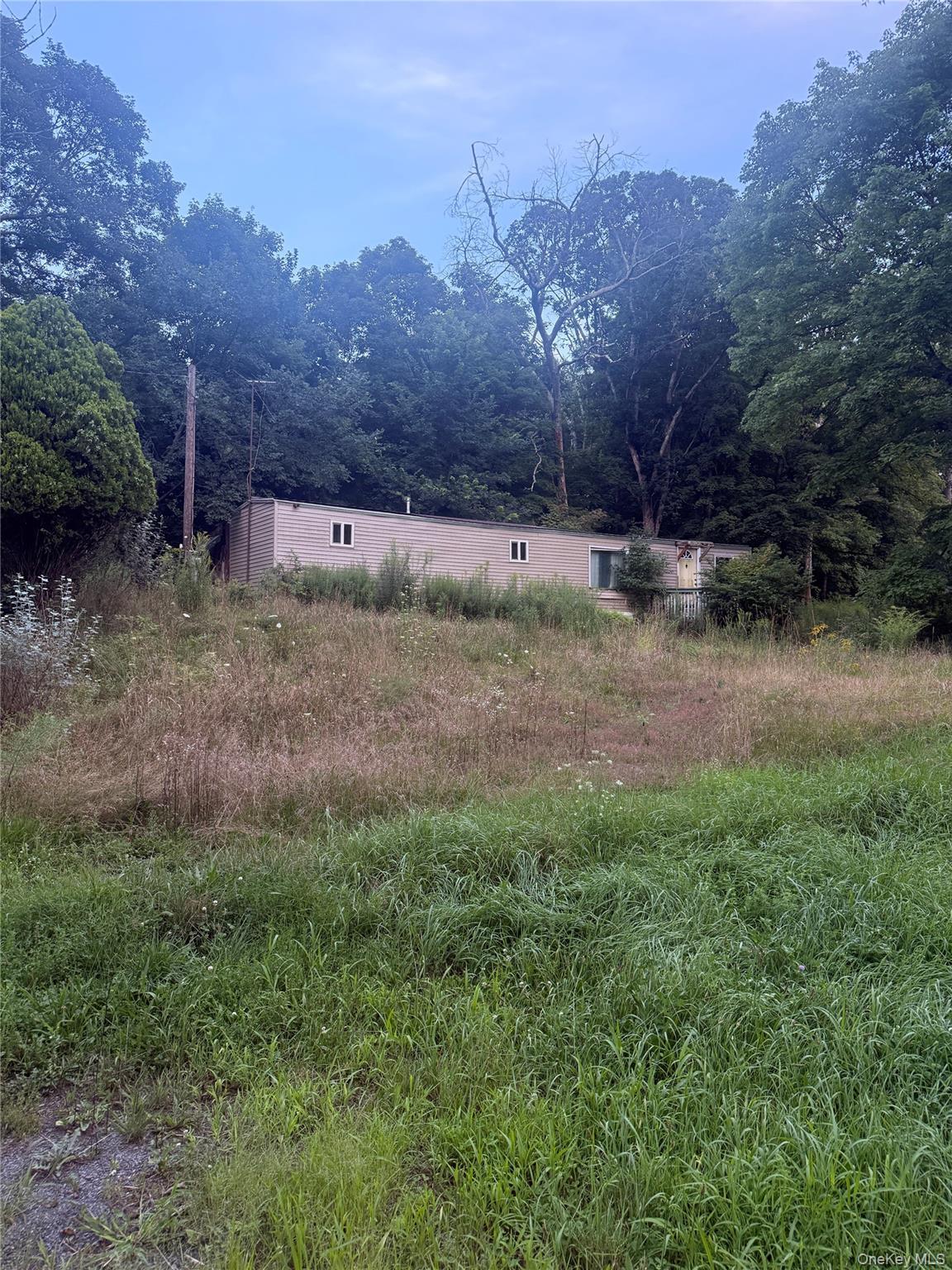 Single Family High Falls Road Extension Greene County, NY 12414, MLS-1050063-3