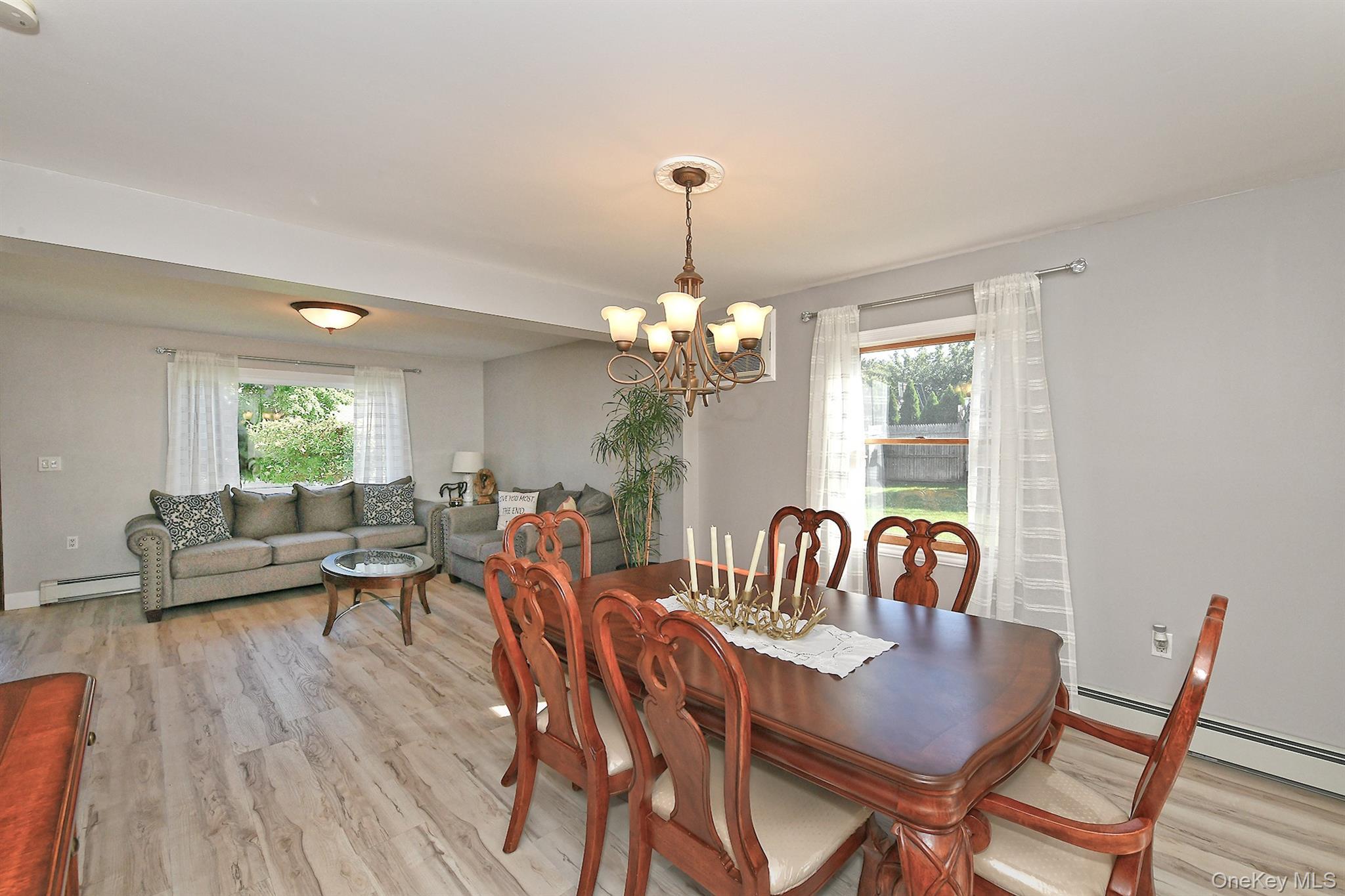 Single Family Cooper Lane Nassau County, NY 11756, MLS-1050095-12