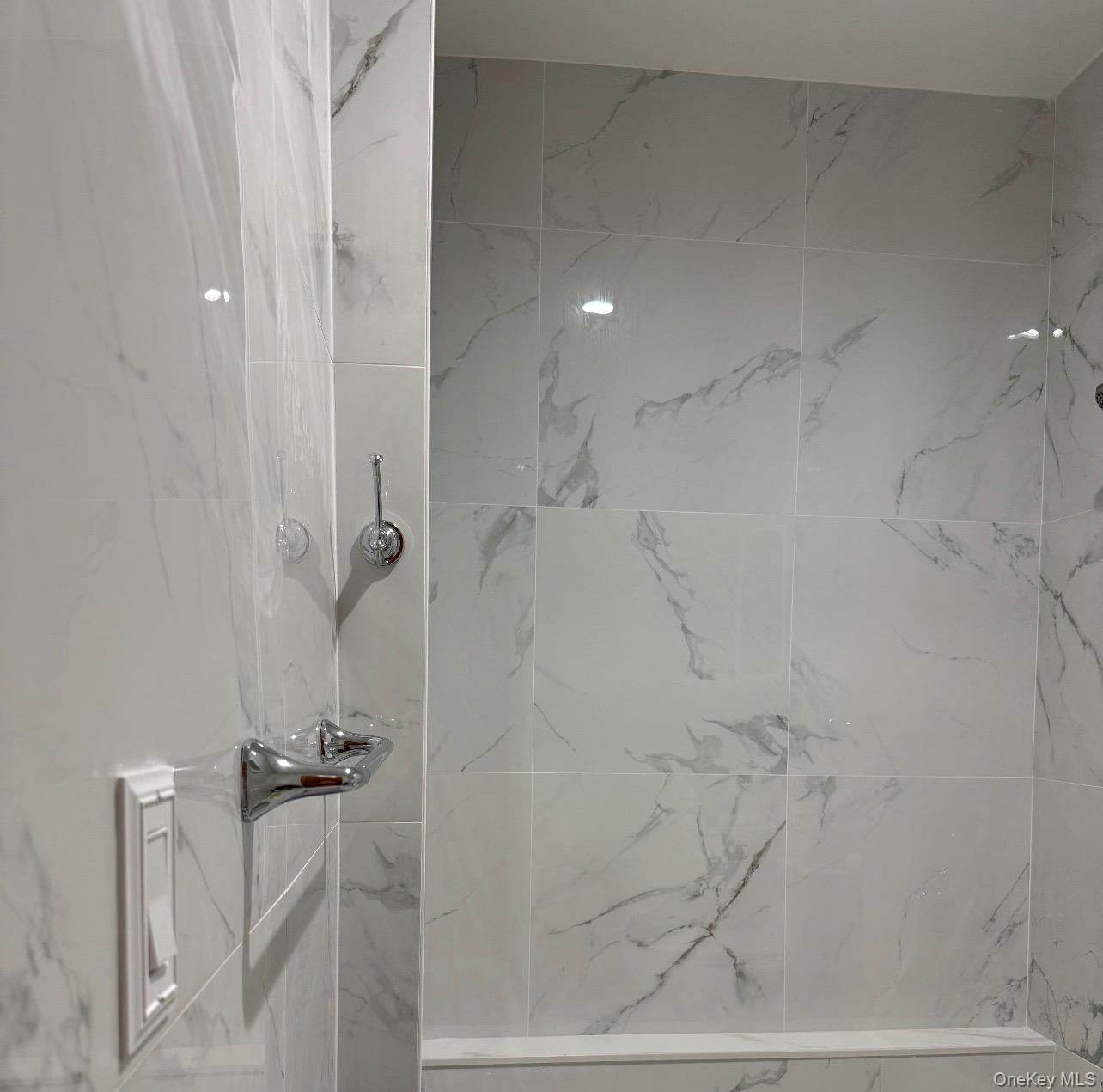 Apartment Belmont Avenue Brooklyn, NY 11208, MLS-1050125-9