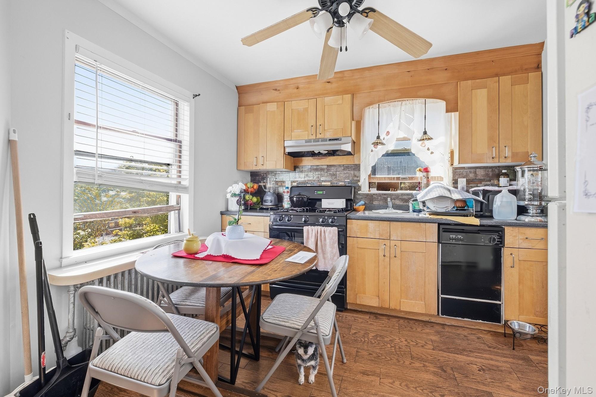 Single Family Lafayette Avenue Westchester County, NY 10801, MLS-1050192-29