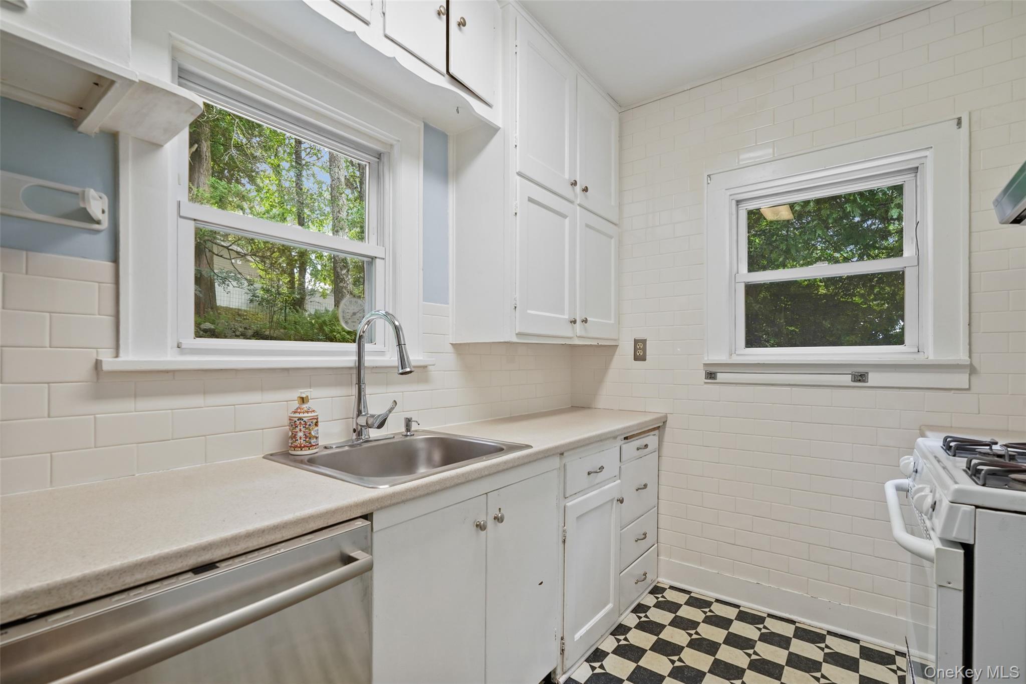 Single Family Birch Drive Westchester County, NY 10570, MLS-1050254-10