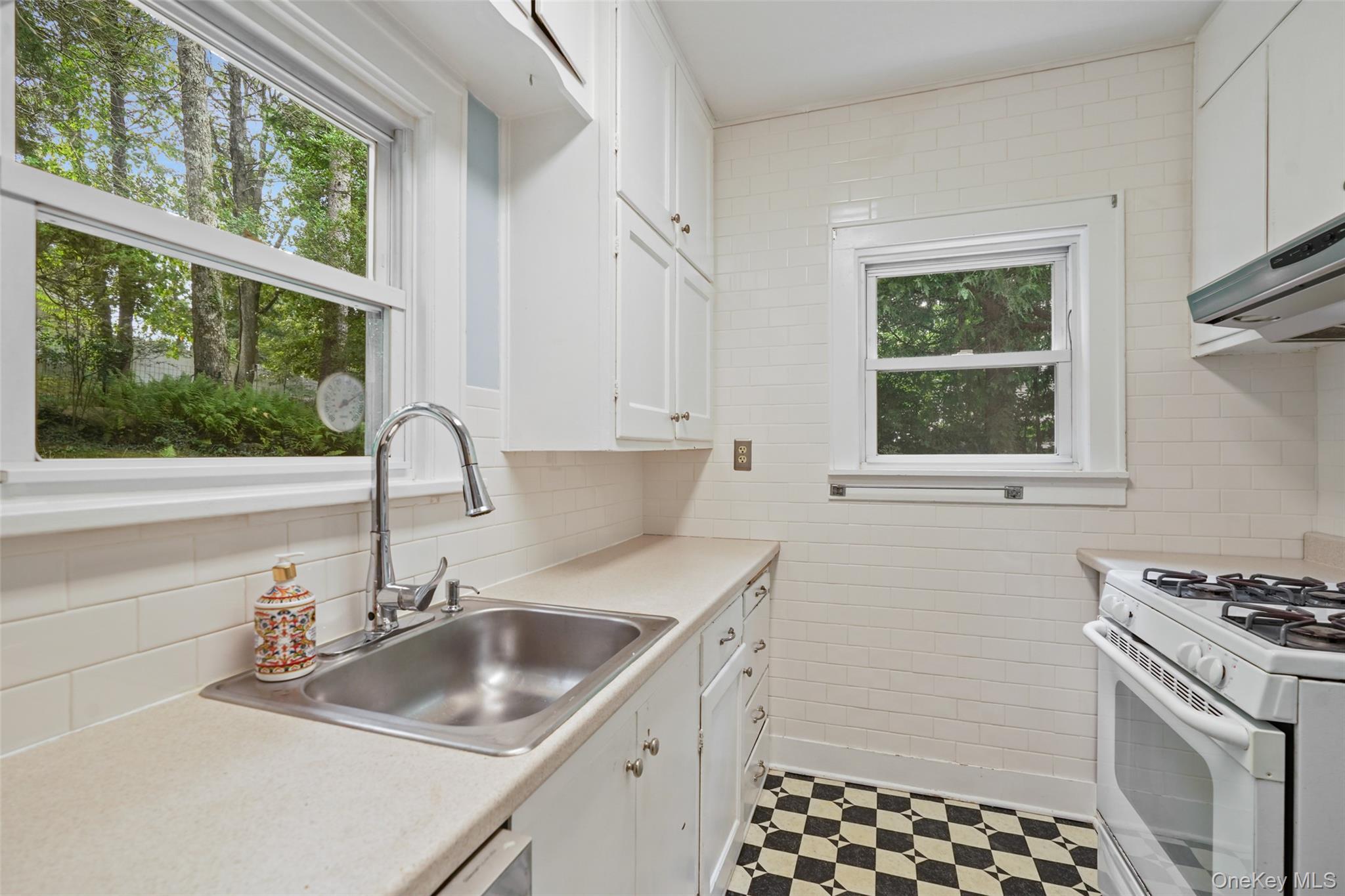 Single Family Birch Drive Westchester County, NY 10570, MLS-1050254-11