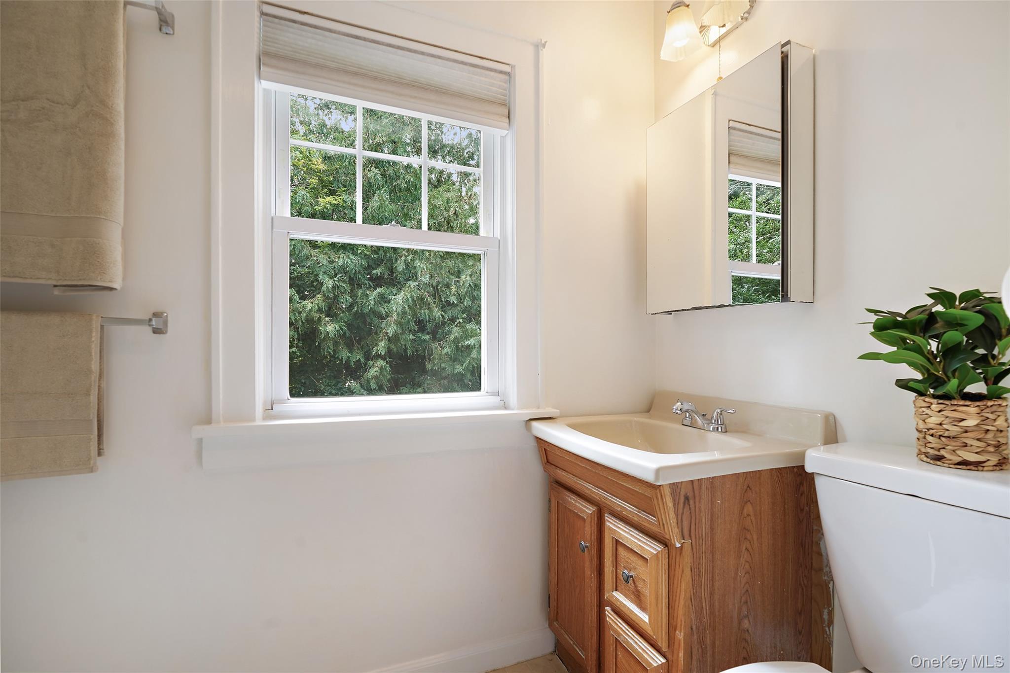 Single Family Birch Drive Westchester County, NY 10570, MLS-1050254-14