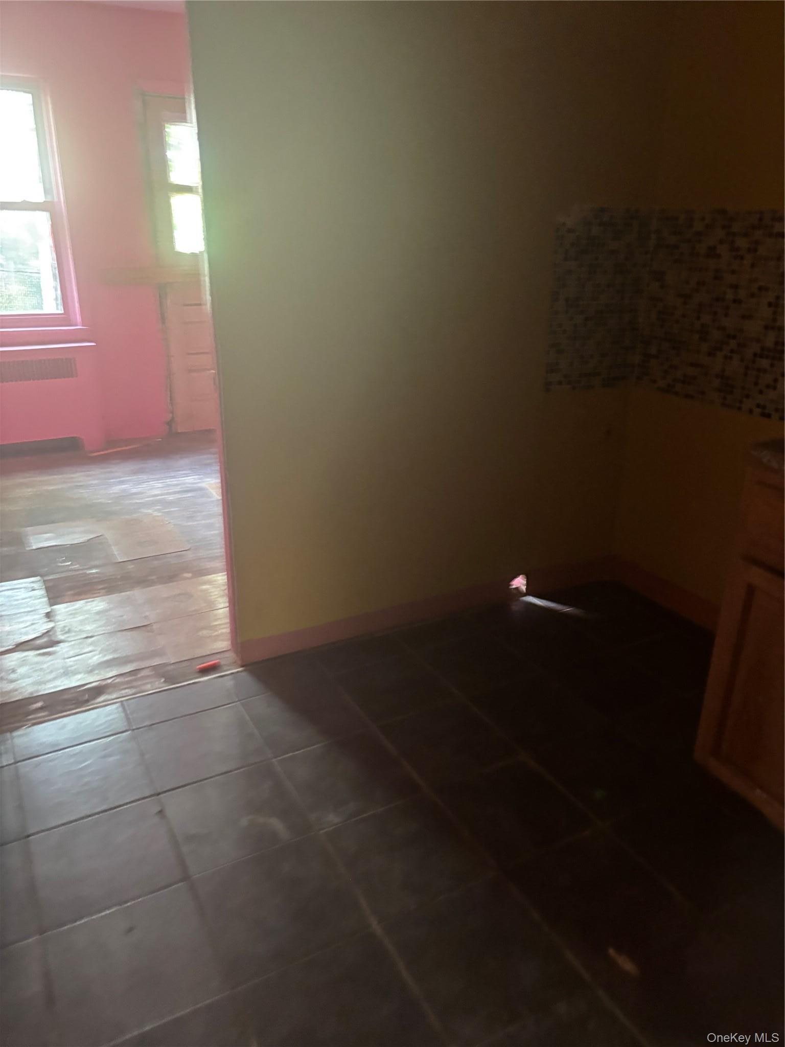 Single Family Colgate Avenue Bronx, NY 10472, MLS-1050267-22