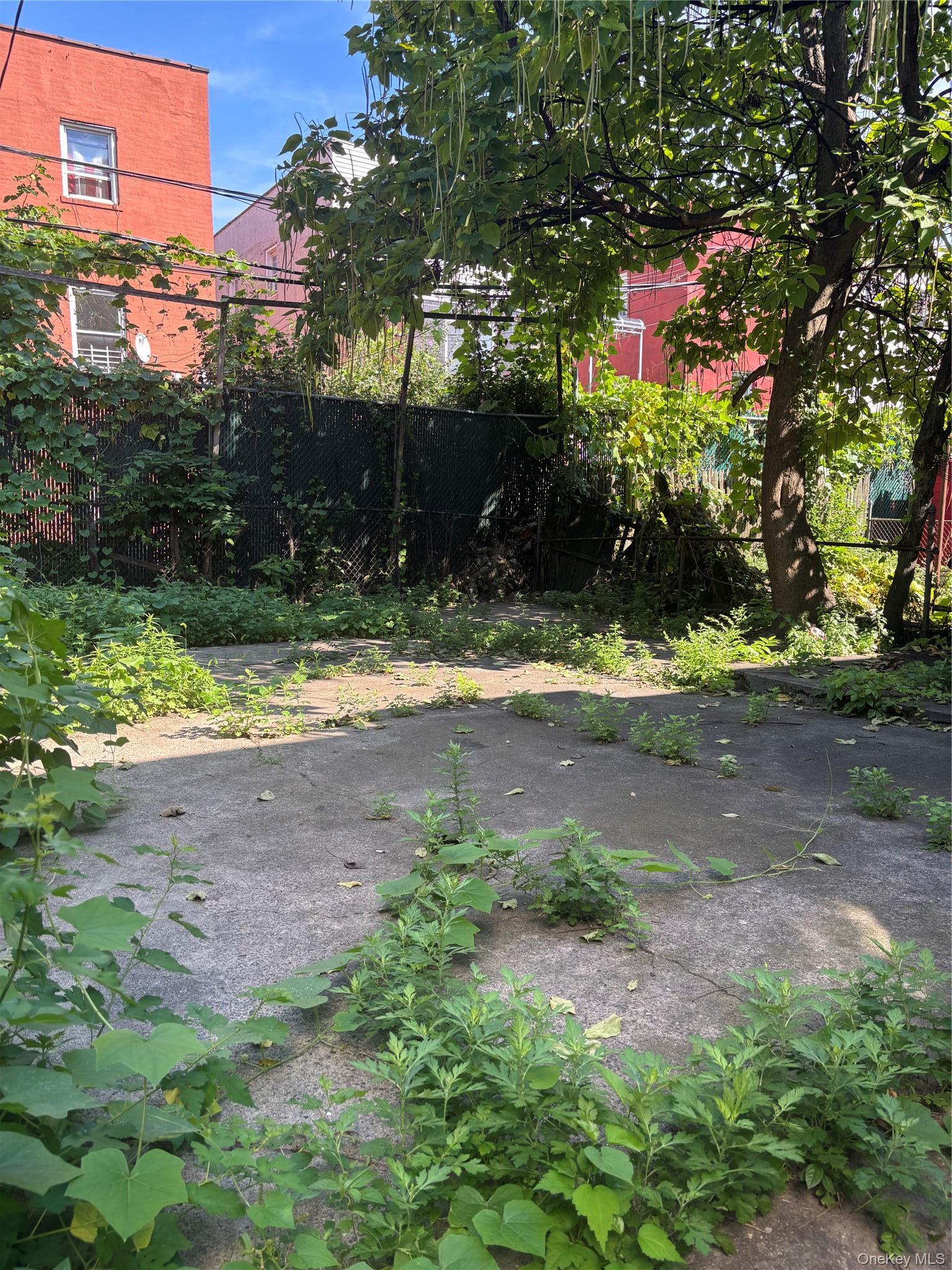 Single Family Colgate Avenue Bronx, NY 10472, MLS-1050267-3