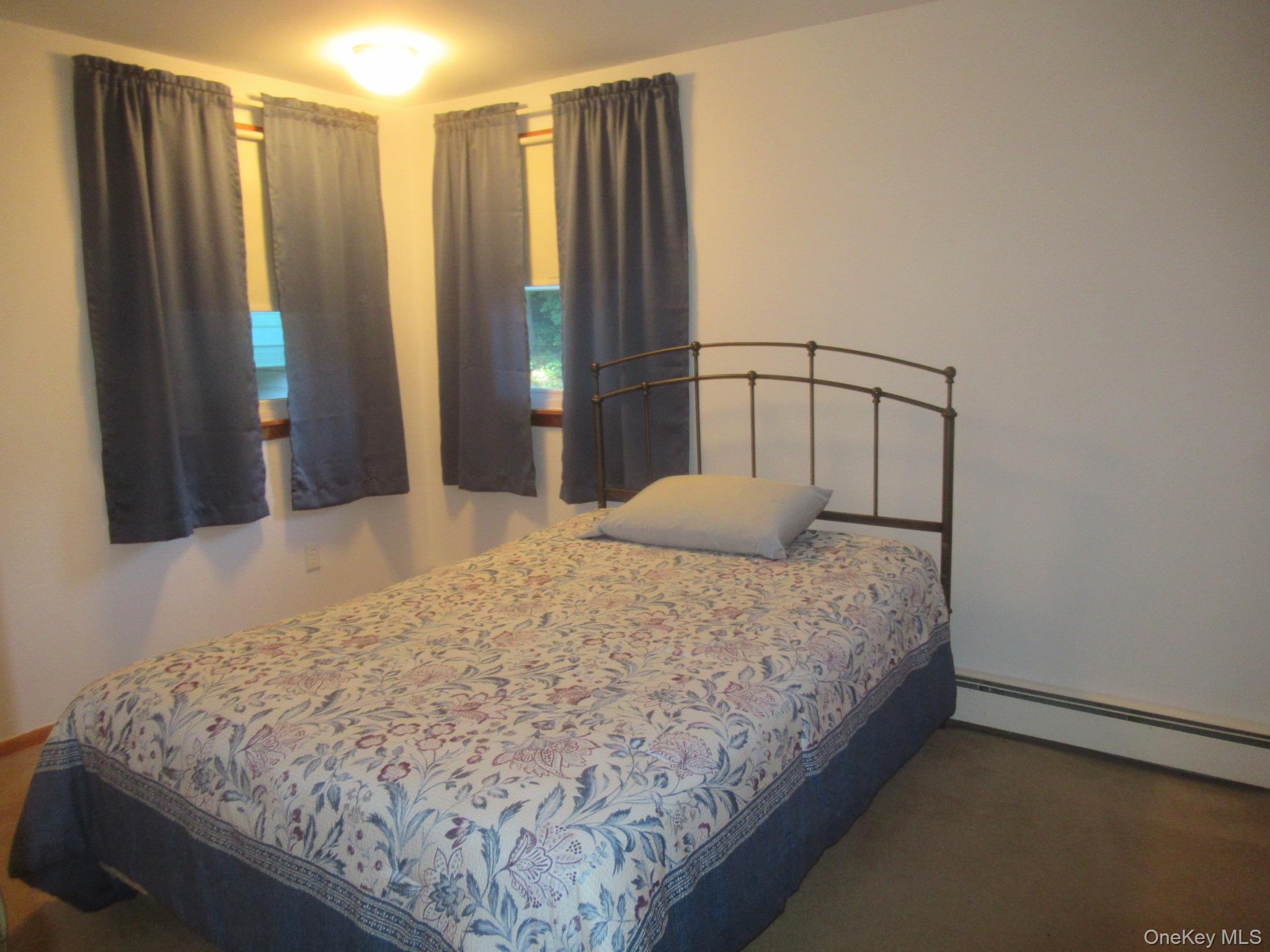 Single Family Greenwood Drive Dutchess County, NY 12508, MLS-1050285-19