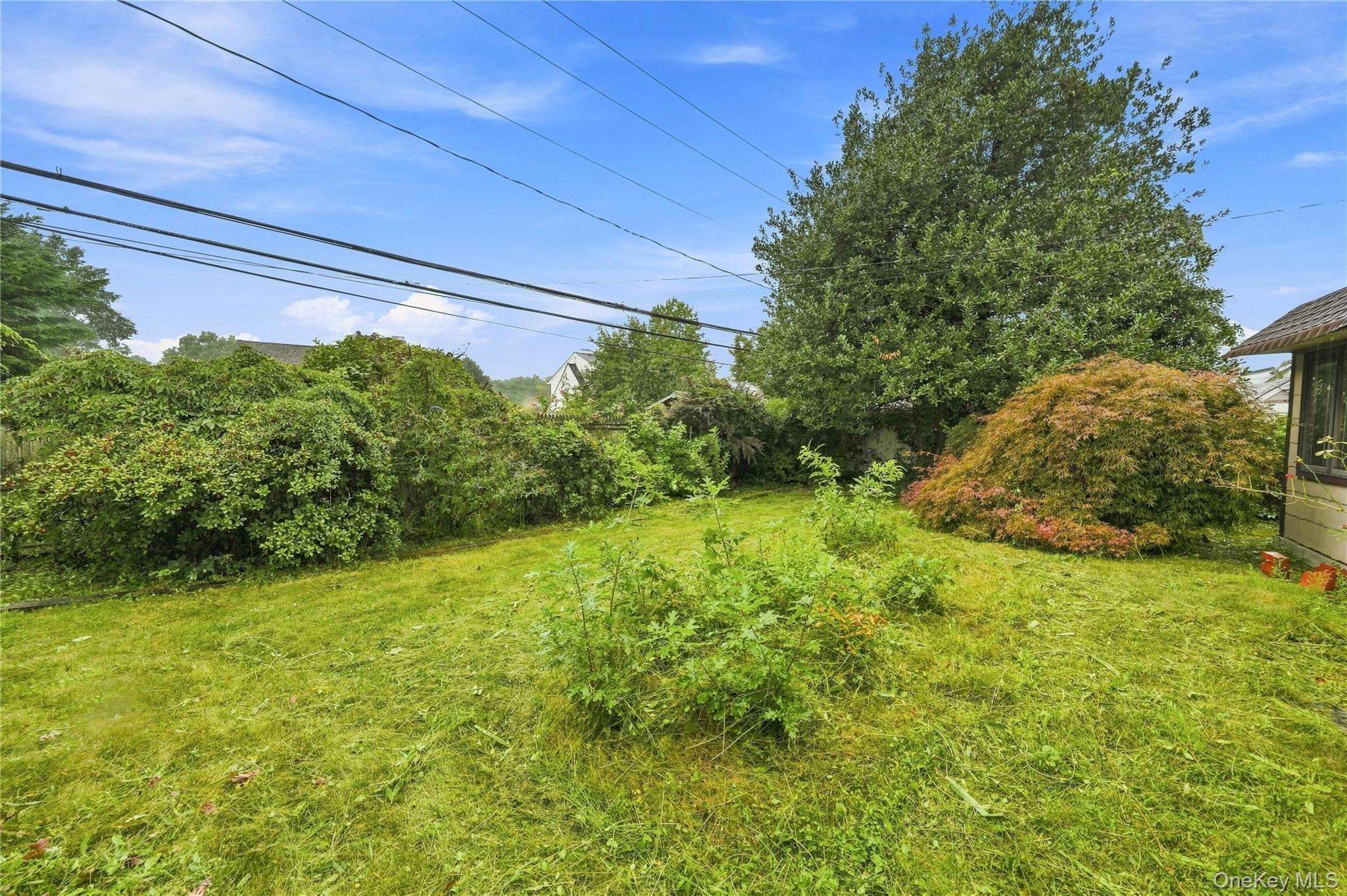 Single Family Weaving Lane Nassau County, NY 11793, MLS-1050355-24