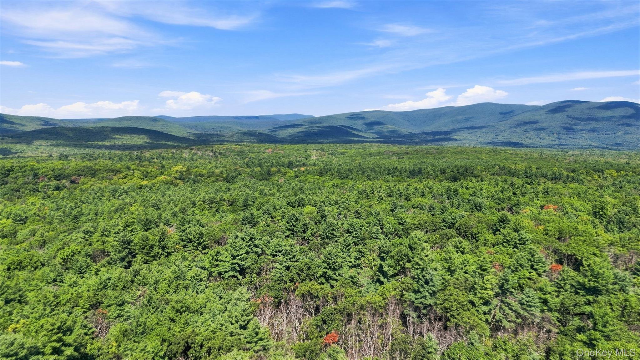 Single Family Indian Road  Ulster County, NY 12446, MLS-1050371-13