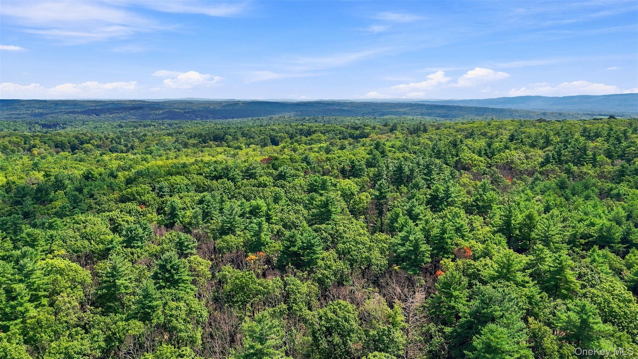Single Family Indian Road  Ulster County, NY 12446, MLS-1050371-14