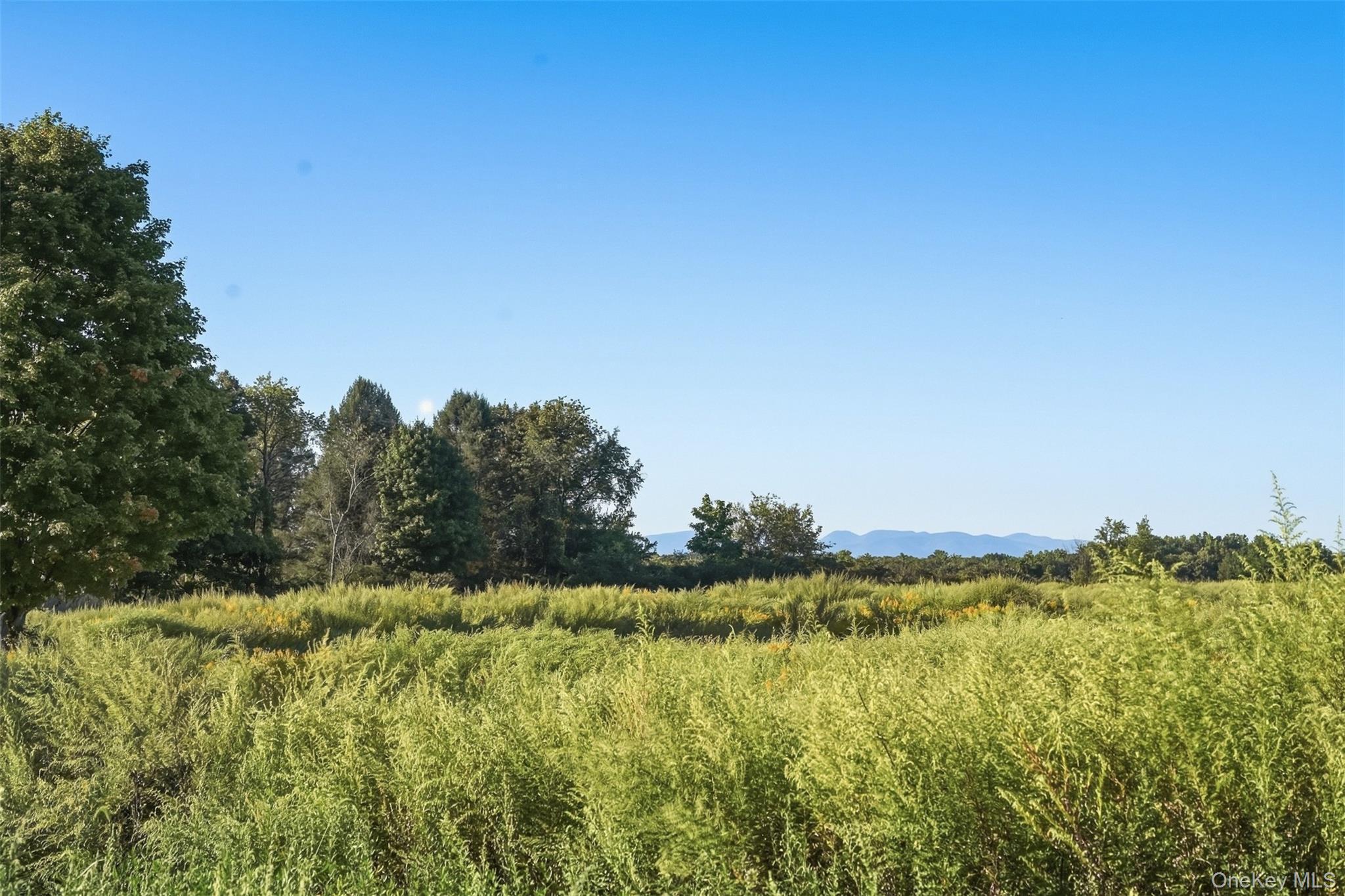 Single Family Costa Road  Ulster County, NY 12528, MLS-1050398-47