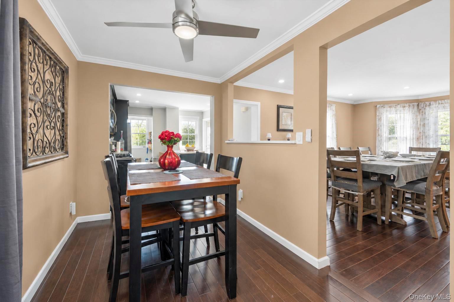 Single Family S Franklin Avenue Nassau County, NY 11580, MLS-1050399-4