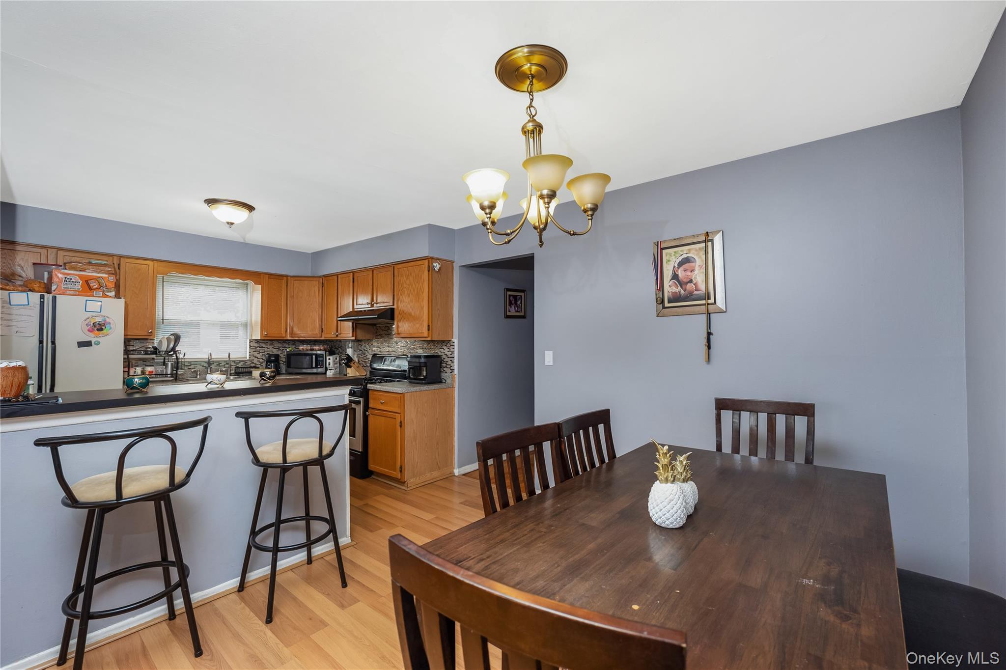 Single Family Lafayette Street  Queens, NY 11417, MLS-1050403-22