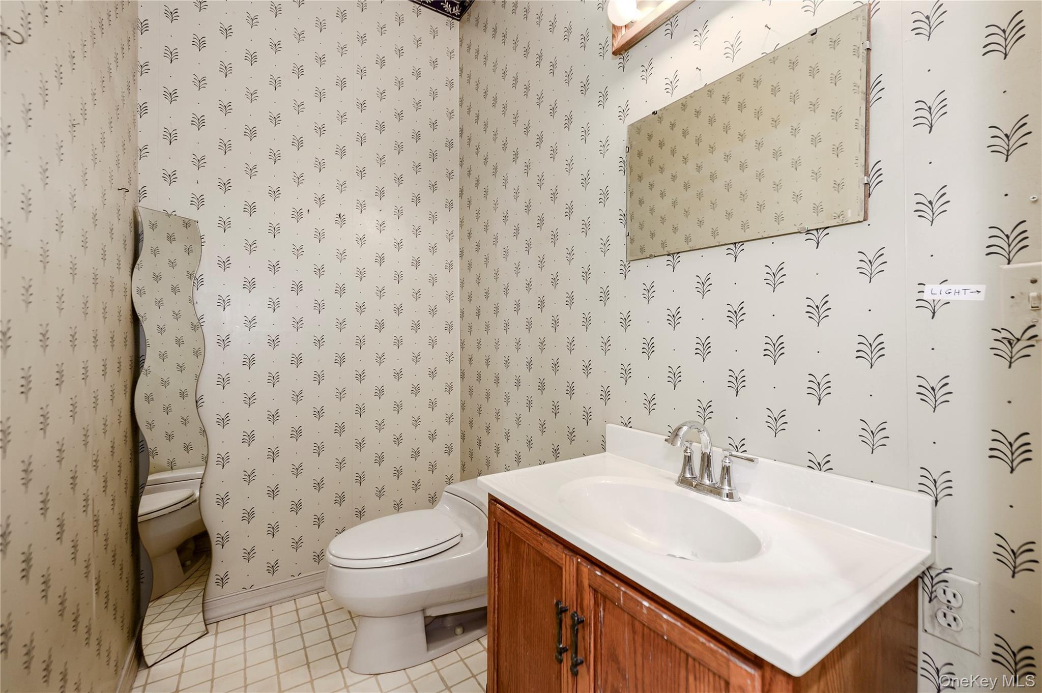 Single Family Lake Avenue Nassau County, NY 11765, MLS-1050480-16