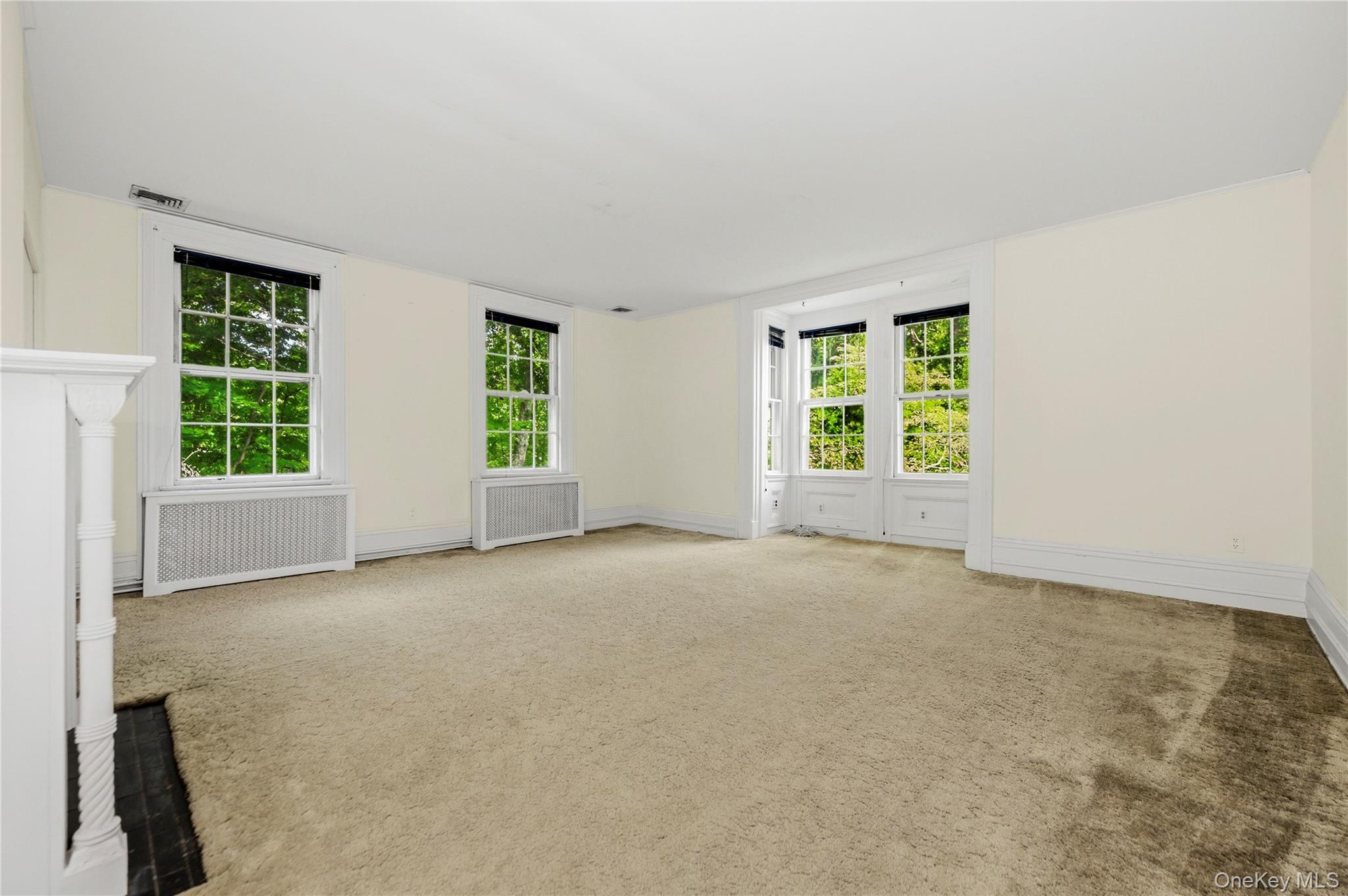 Single Family Lake Avenue Nassau County, NY 11765, MLS-1050480-33
