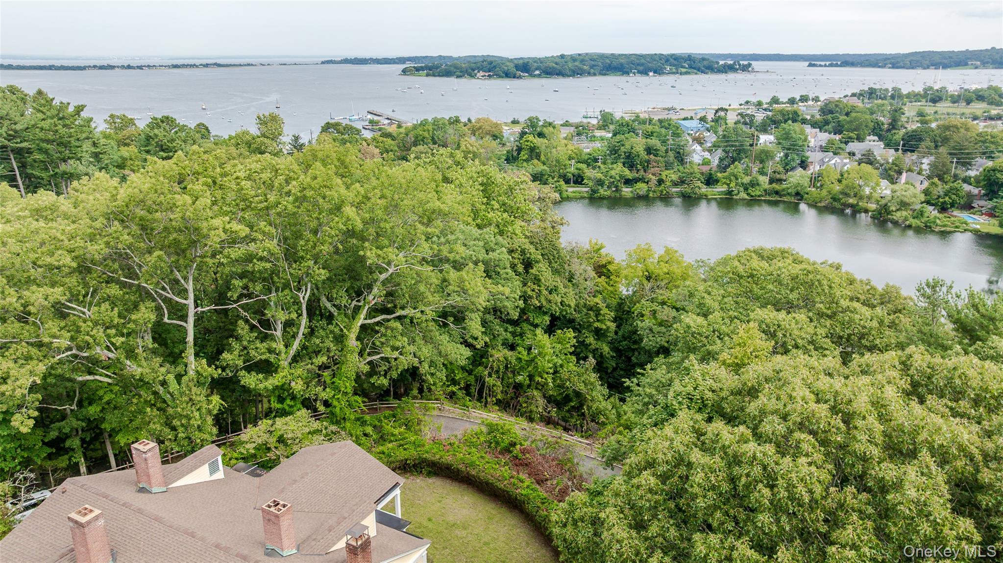 Single Family Lake Avenue Nassau County, NY 11765, MLS-1050480-41
