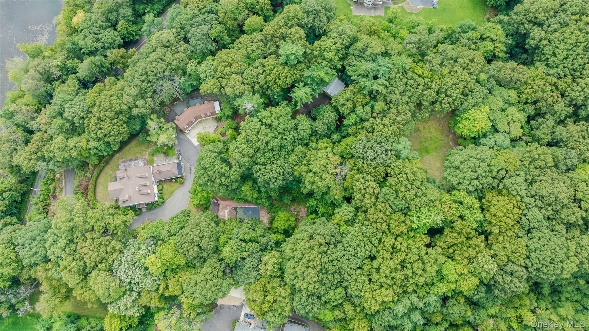 Single Family Lake Avenue Nassau County, NY 11765, MLS-1050480-43