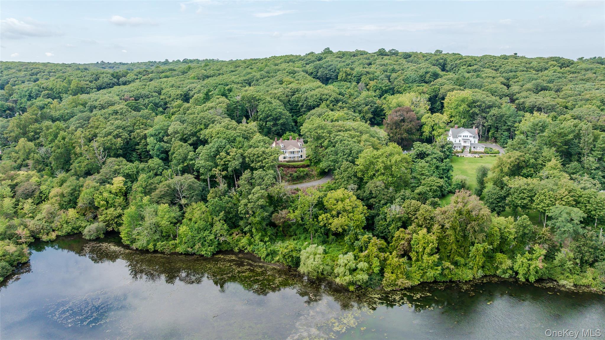 Single Family Lake Avenue  Nassau County, NY 11765, MLS-1050480-44