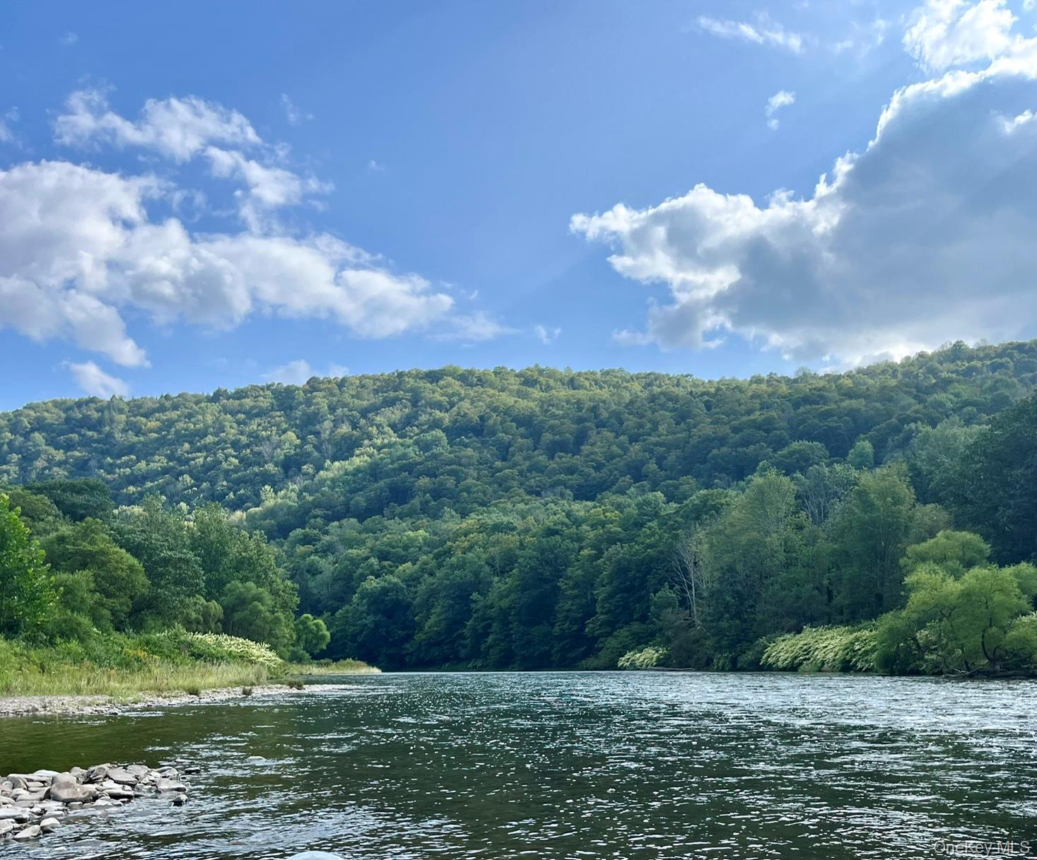 Single Family Lakeview Road Sullivan County, NY 12720, MLS-1050532-30