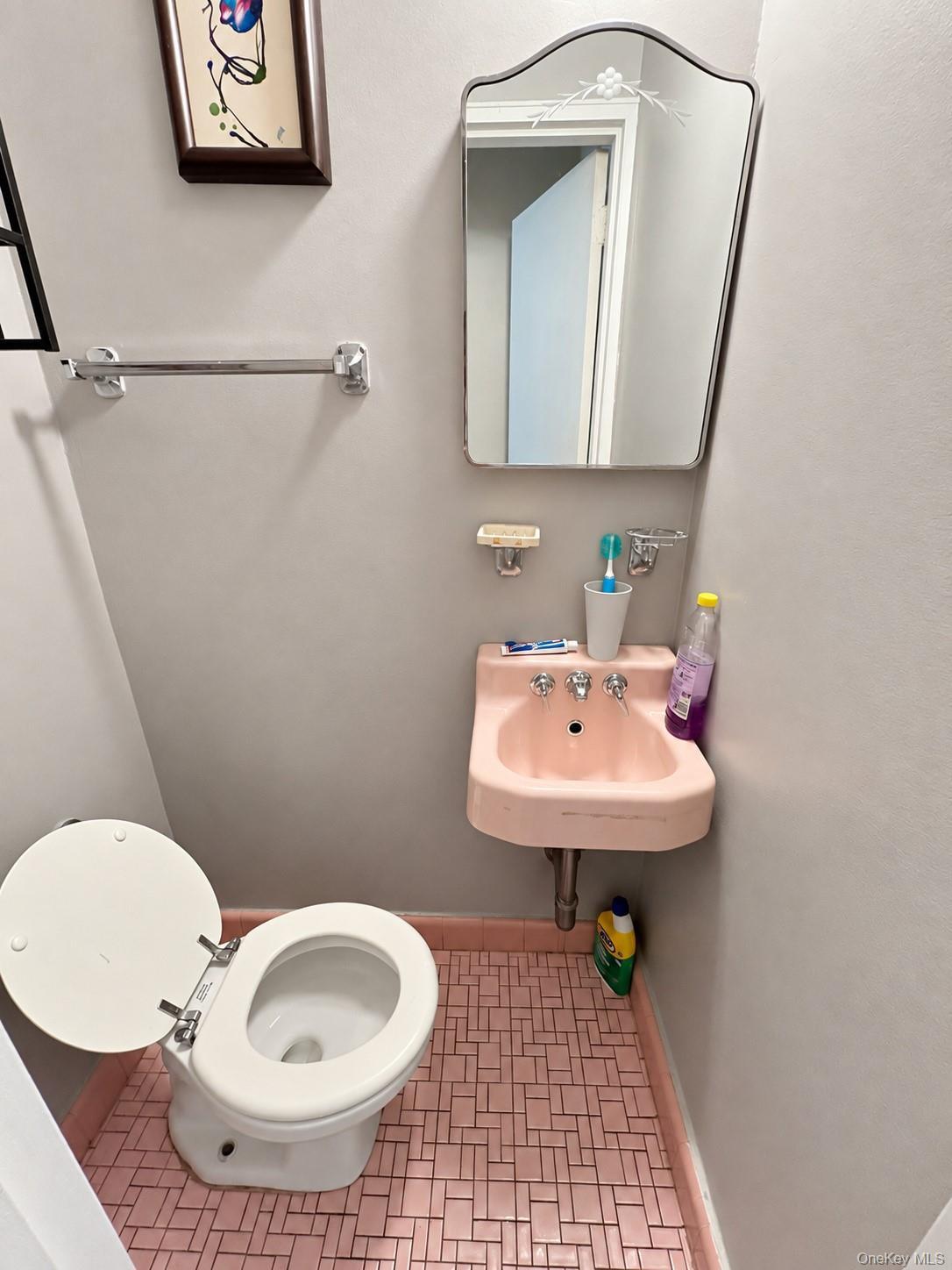 Single Family Remsen Avenue Brooklyn, NY 11236, MLS-1050556-9