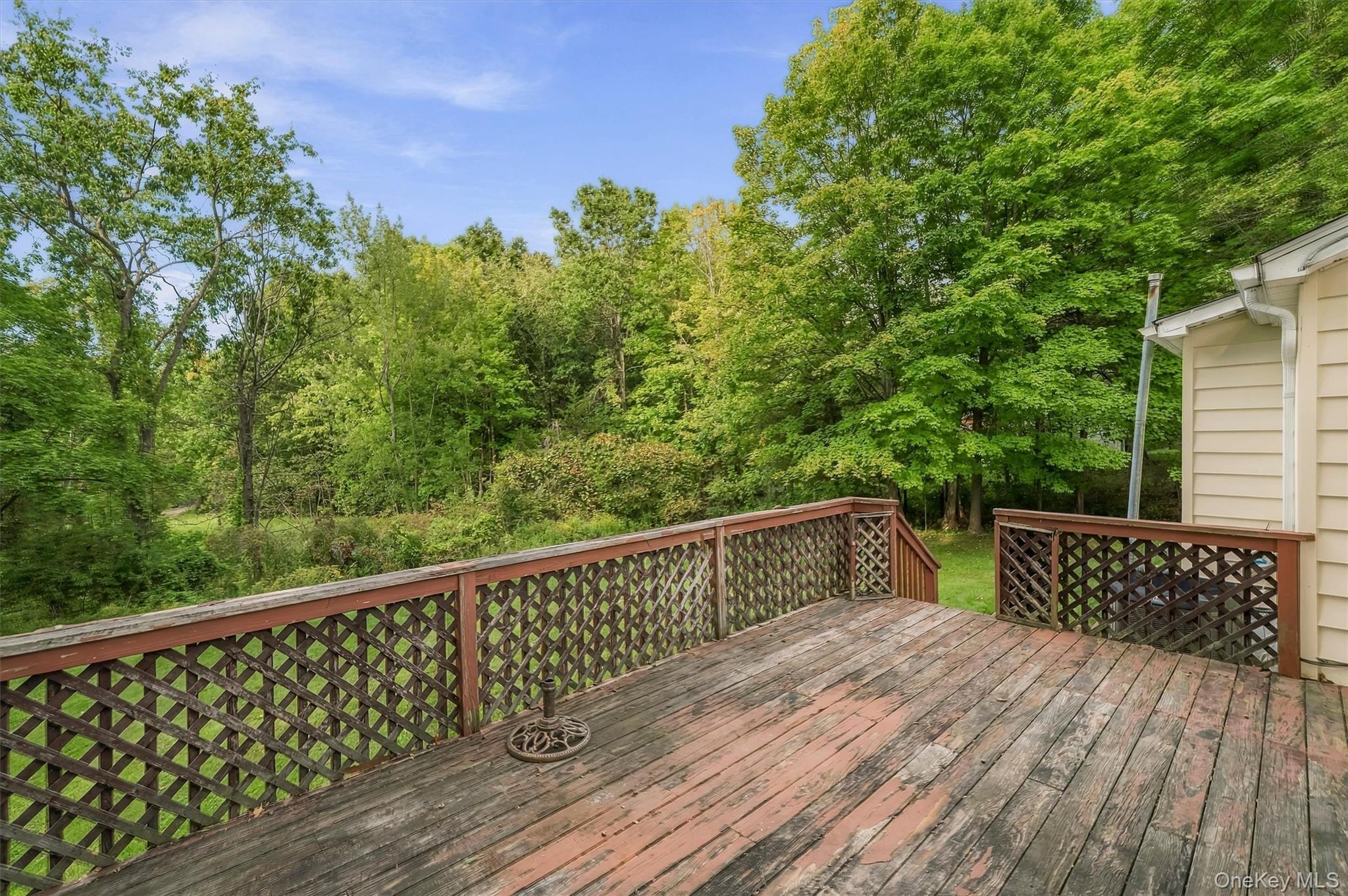 Single Family Orchard Lake Drive Orange County, NY 10950, MLS-1050615-18
