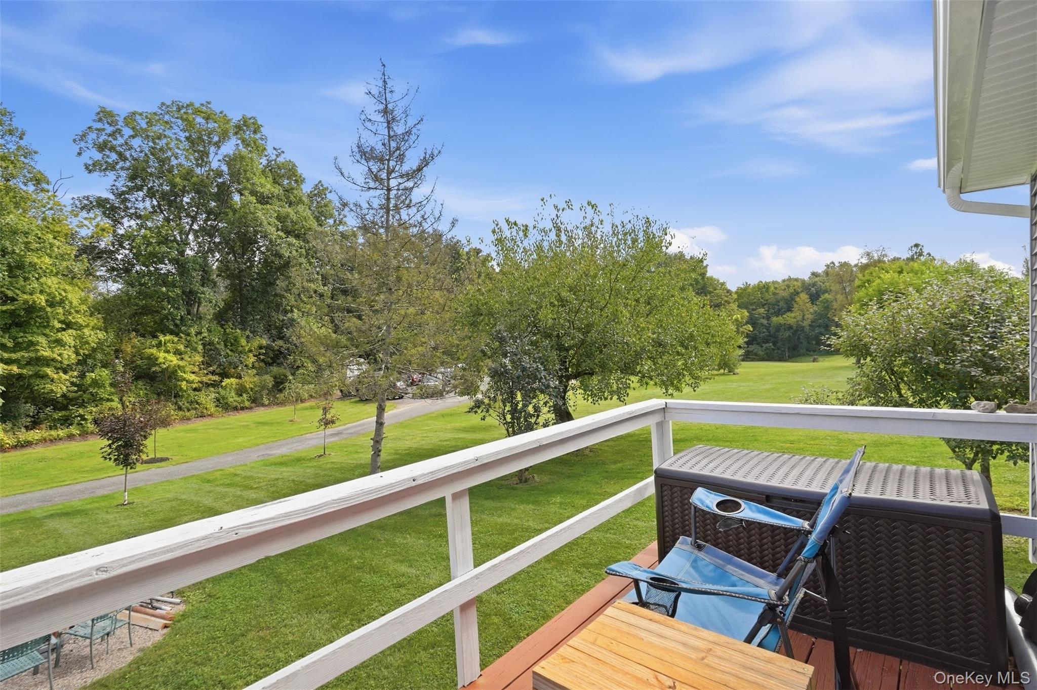 Single Family Nevis Road  Columbia County, NY 12583, MLS-1050674-32