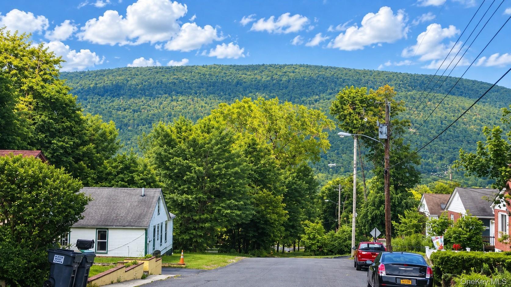 Single Family Phyllis Drive  Ulster County, NY 12428, MLS-1050687-2