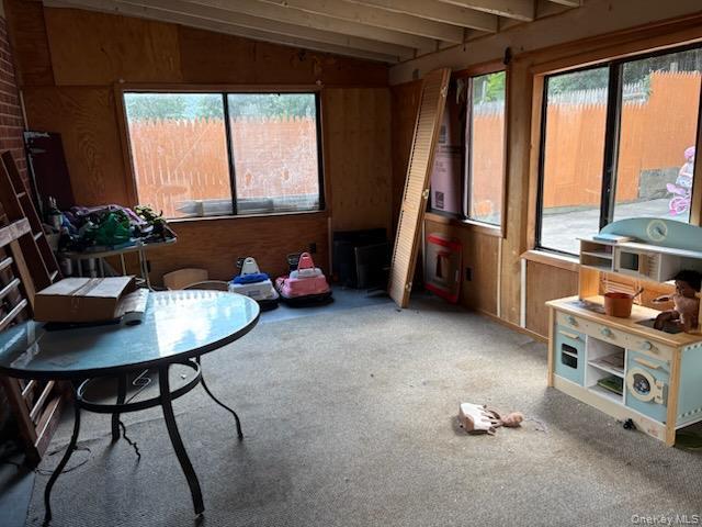 Single Family Phyllis Drive  Ulster County, NY 12428, MLS-1050687-7