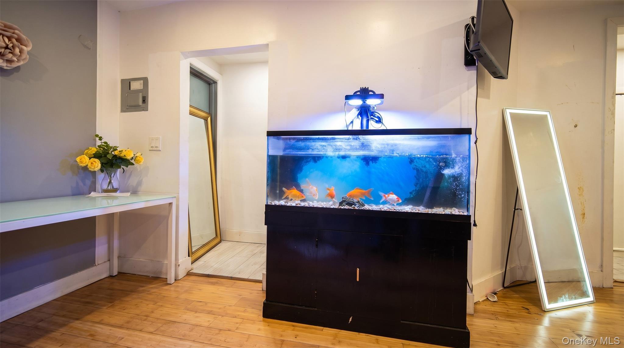 Single Family Tilden Street Bronx, NY 10469, MLS-1050722-6