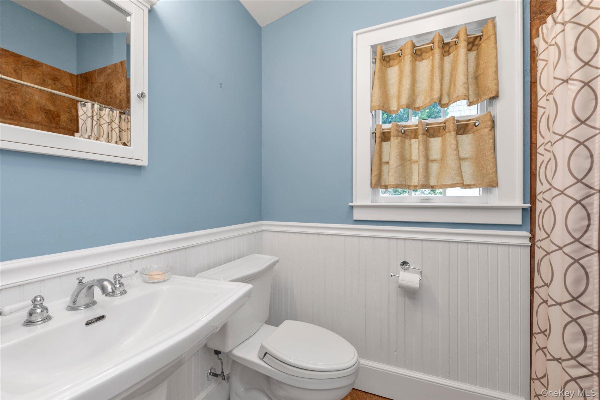 Single Family Burtis Avenue  Nassau County, NY 11570, MLS-1050732-14