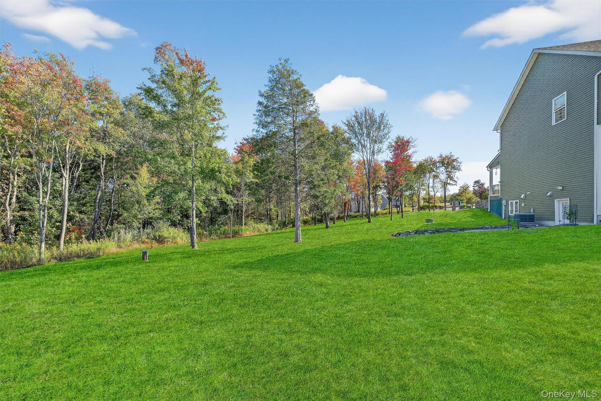Single Family Domingues  Orange County, NY 12550, MLS-1050808-20